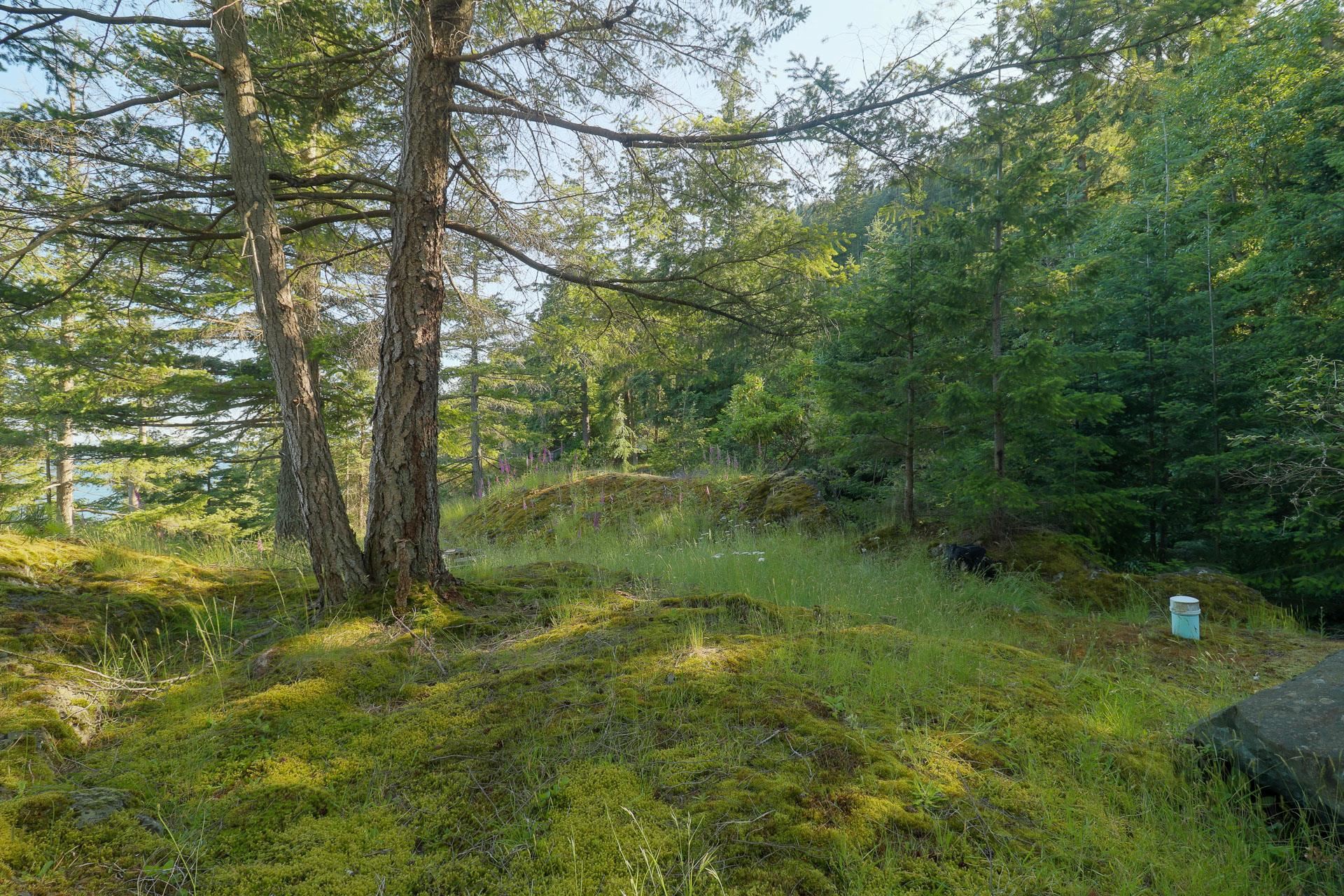 Listing image of 801 VALHALLA PLACE
