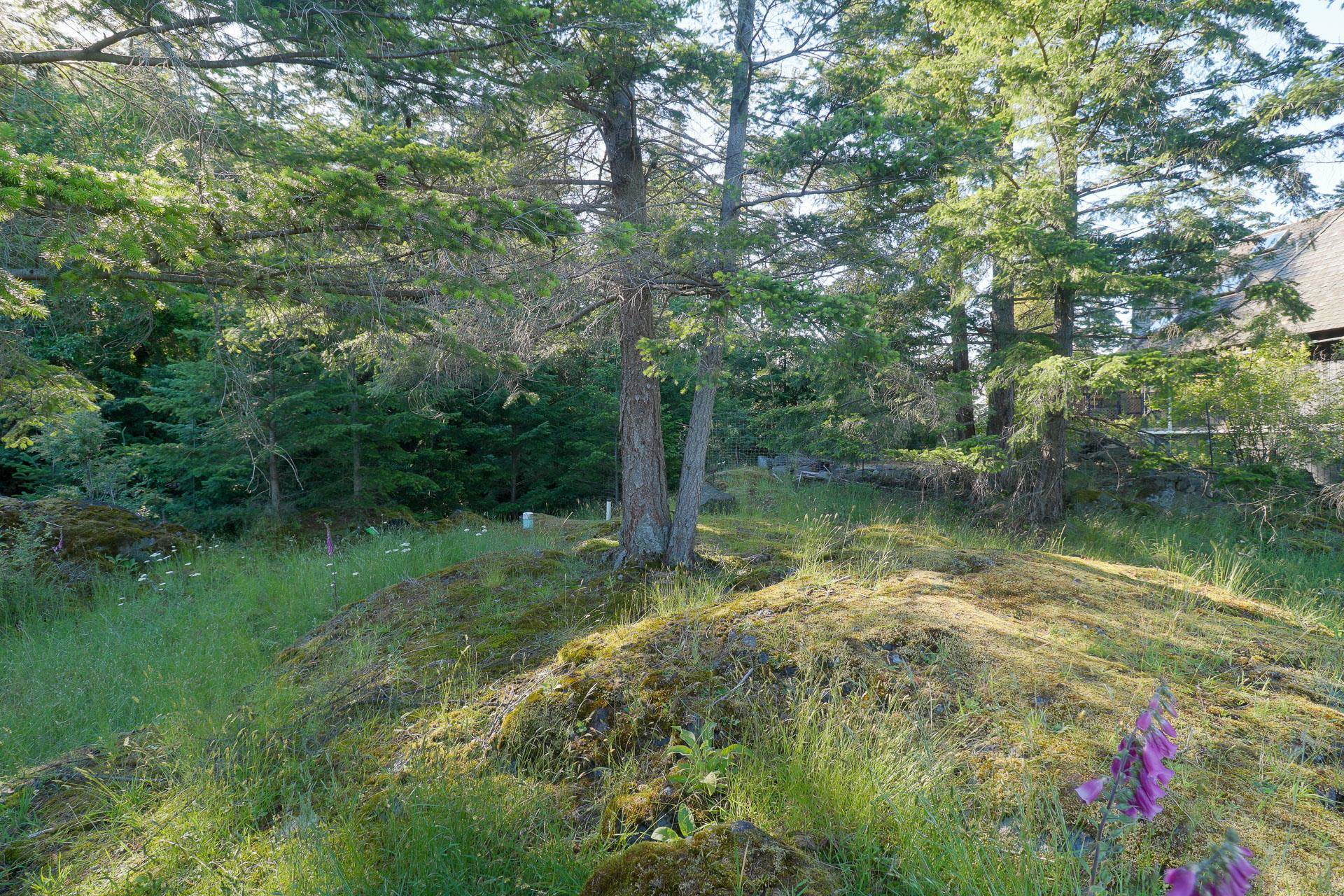 Listing image of 801 VALHALLA PLACE
