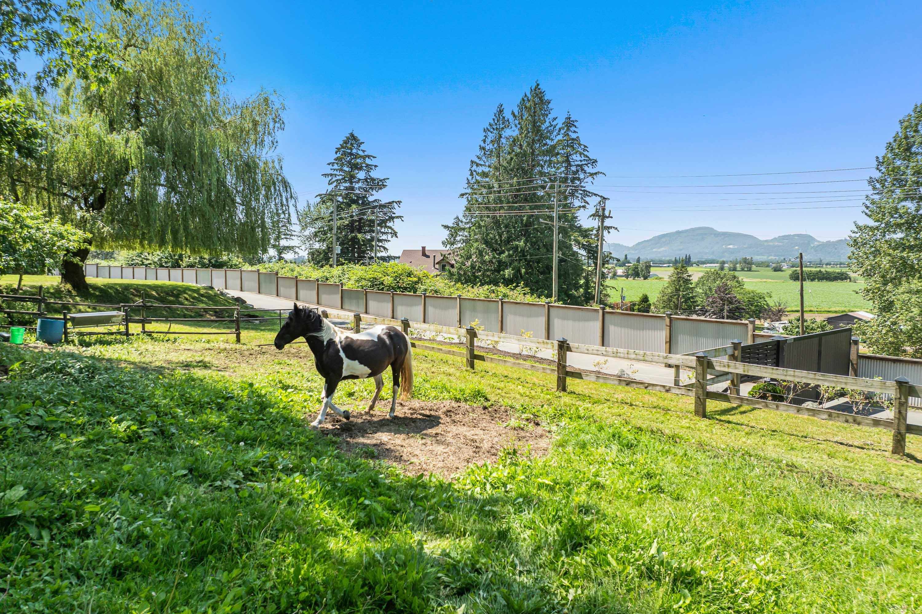 41056 Belrose Road, Abbotsford, Sumas Prairie, V3G 2M9 32