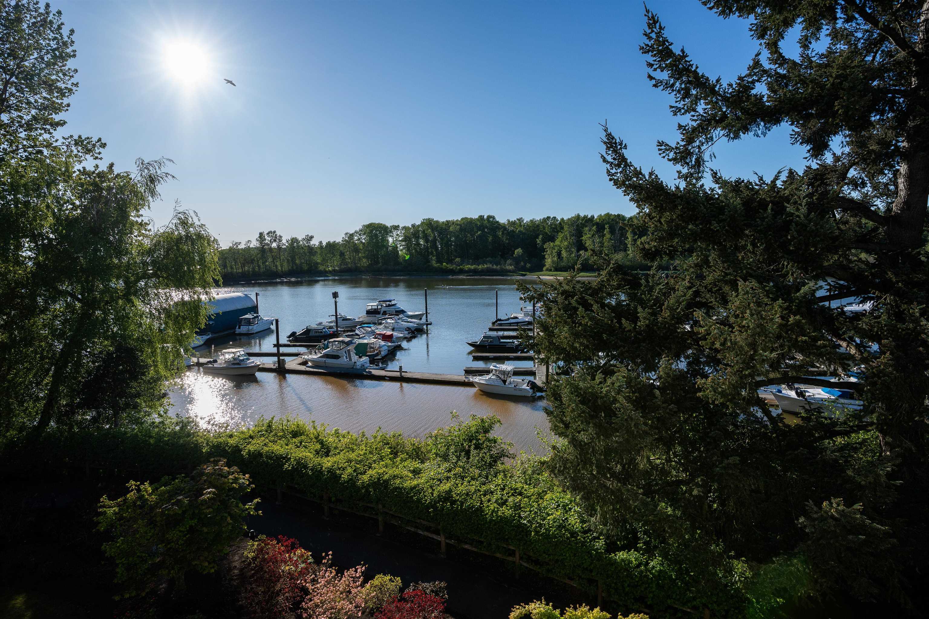 302 6251 River Road, Ladner, East Delta, V4K 5G5 37