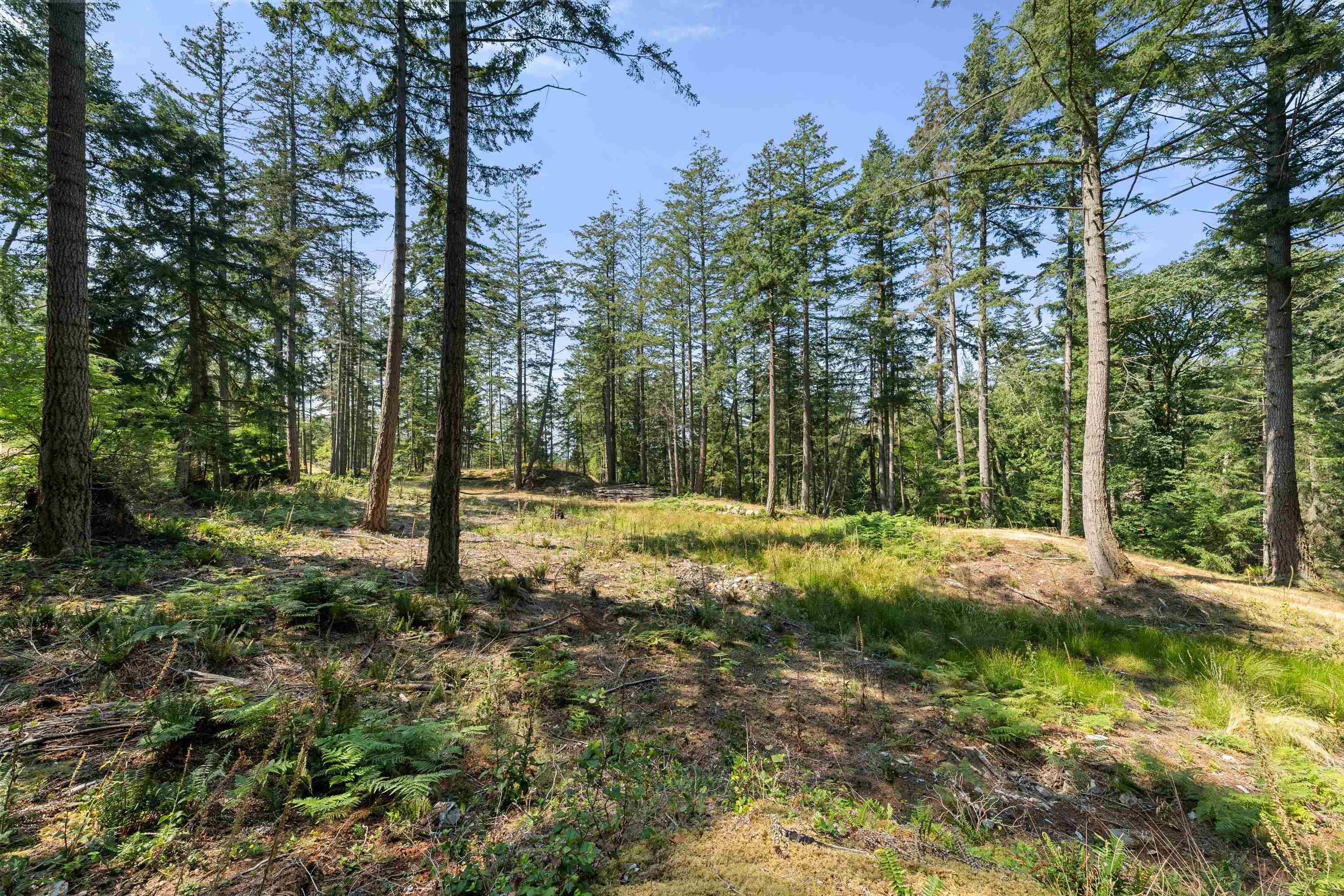 Listing image of 1795 CAPE DRIVE