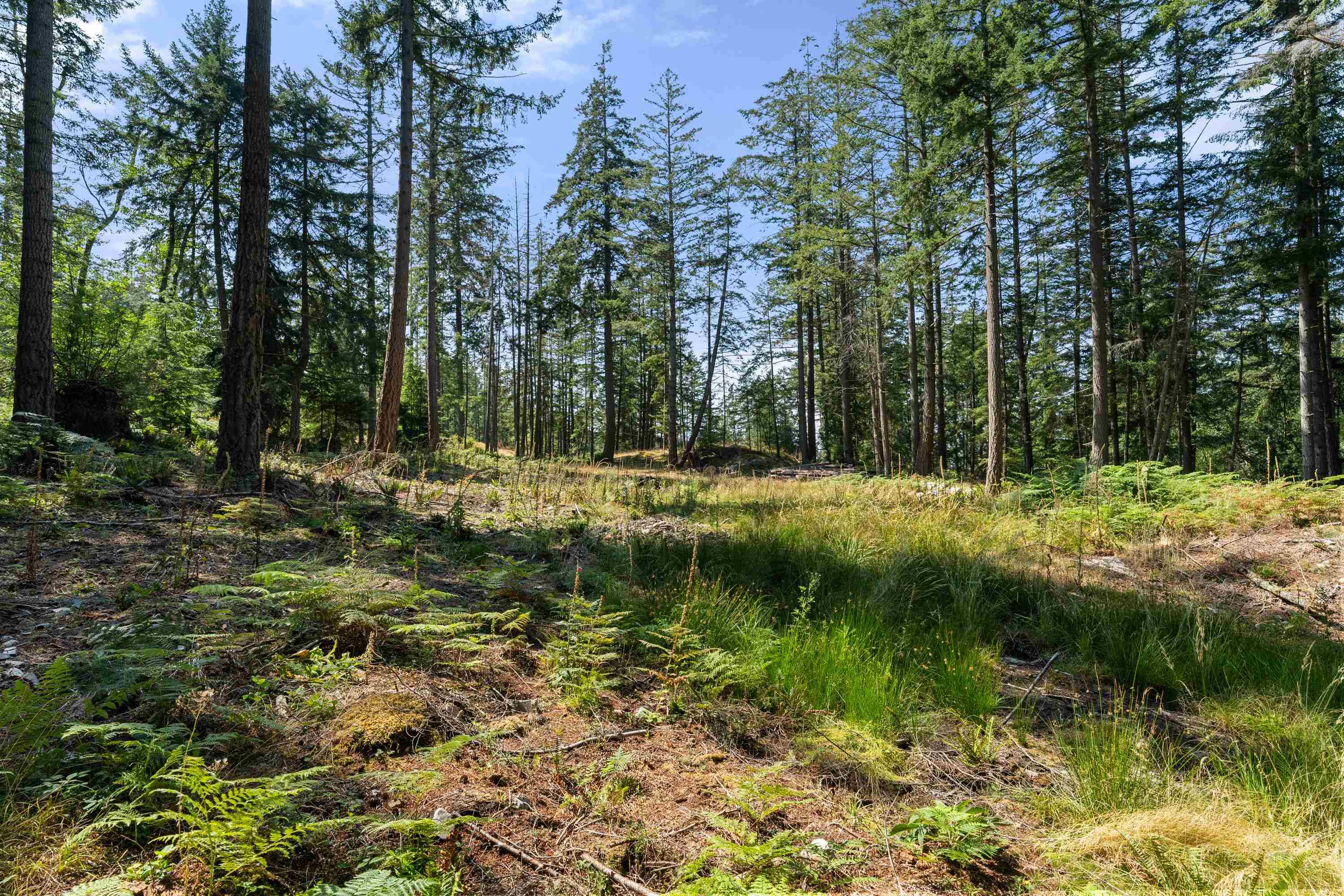 Listing image of 1795 CAPE DRIVE