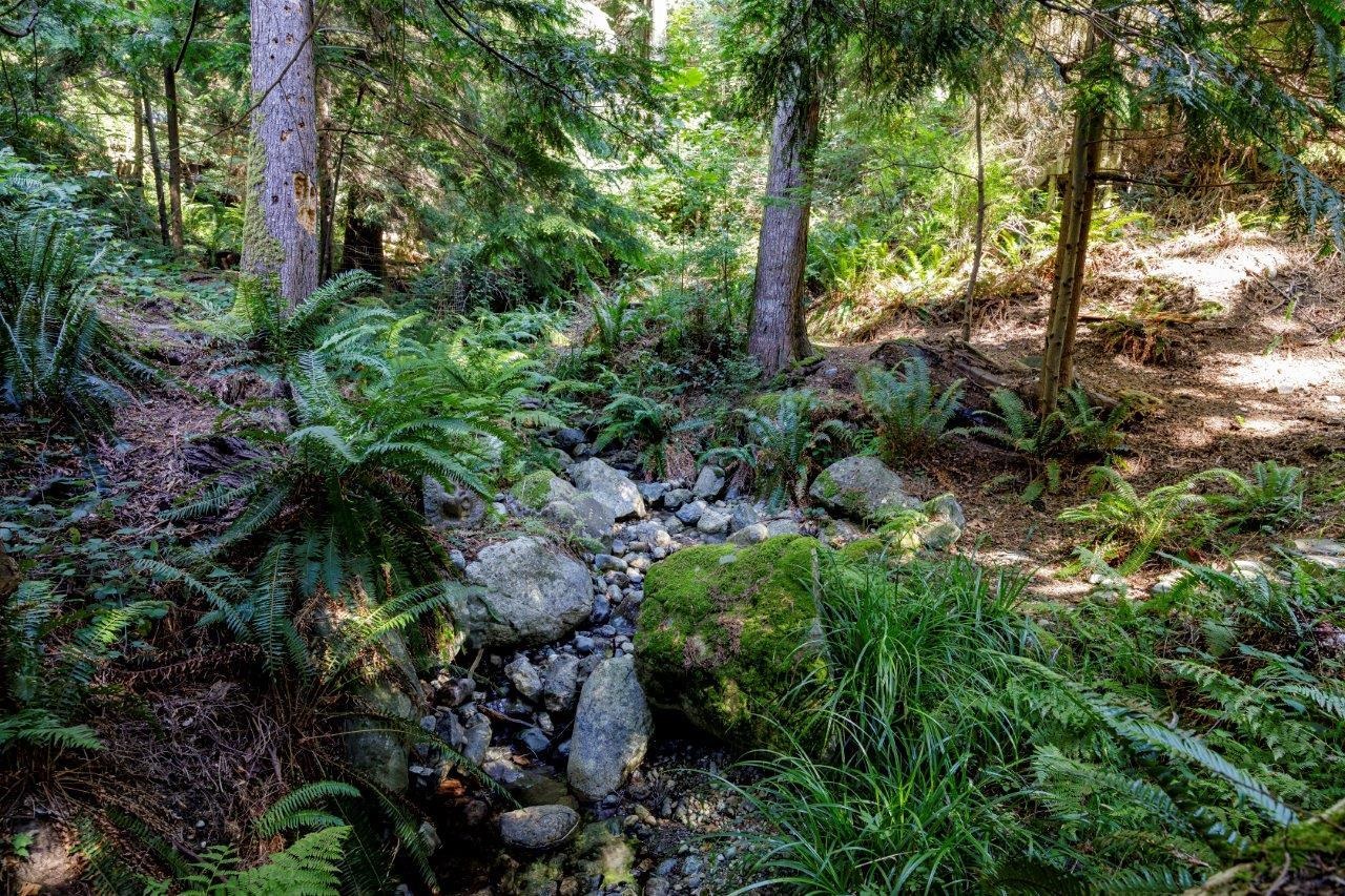 Listing image of 687 WINDJAMMER ROAD