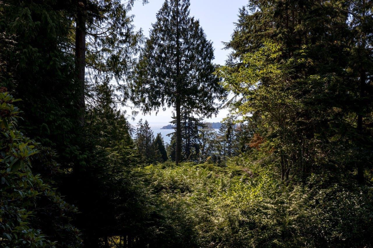 Listing image of 687 WINDJAMMER ROAD