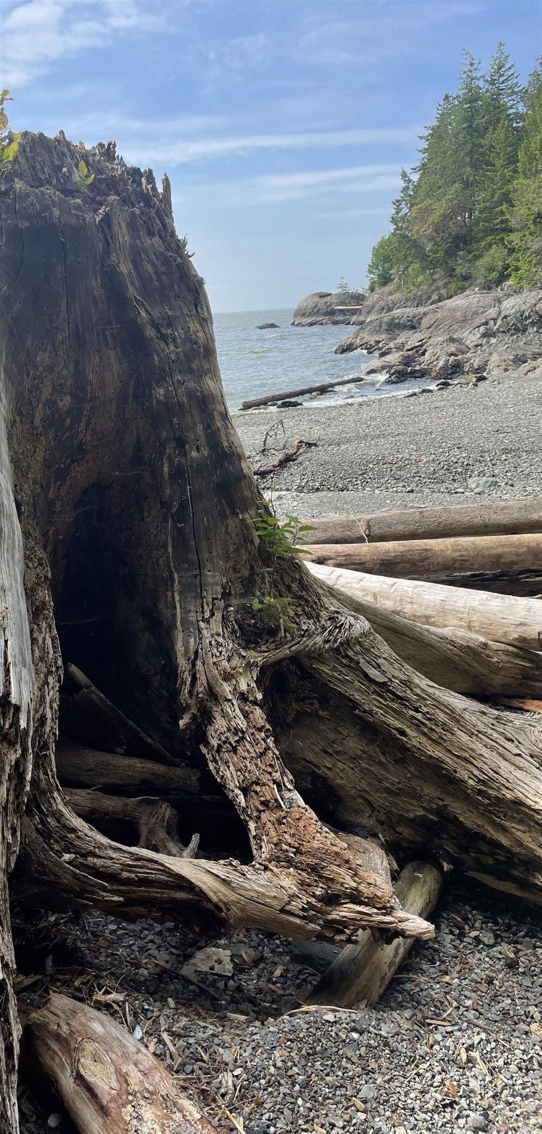 Listing image of 381 WATERFRONT