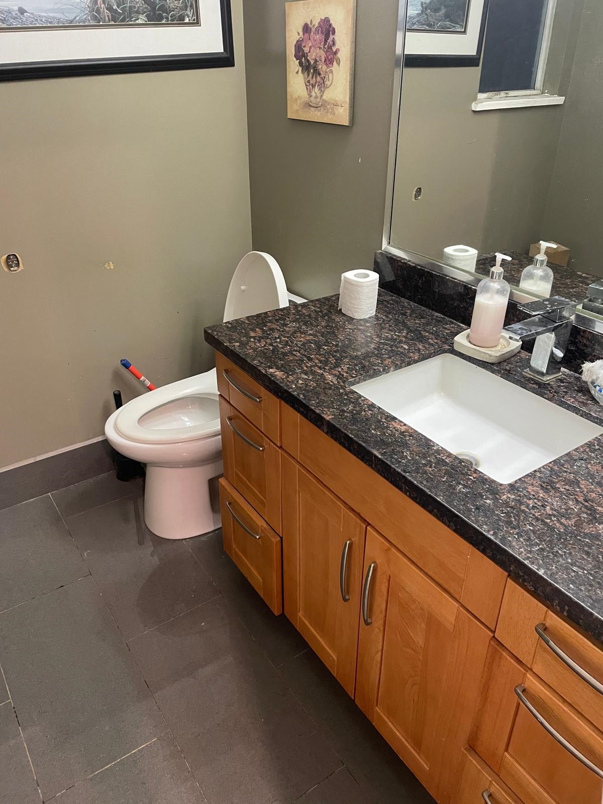 Listing image of 541 TEMPE CRESCENT