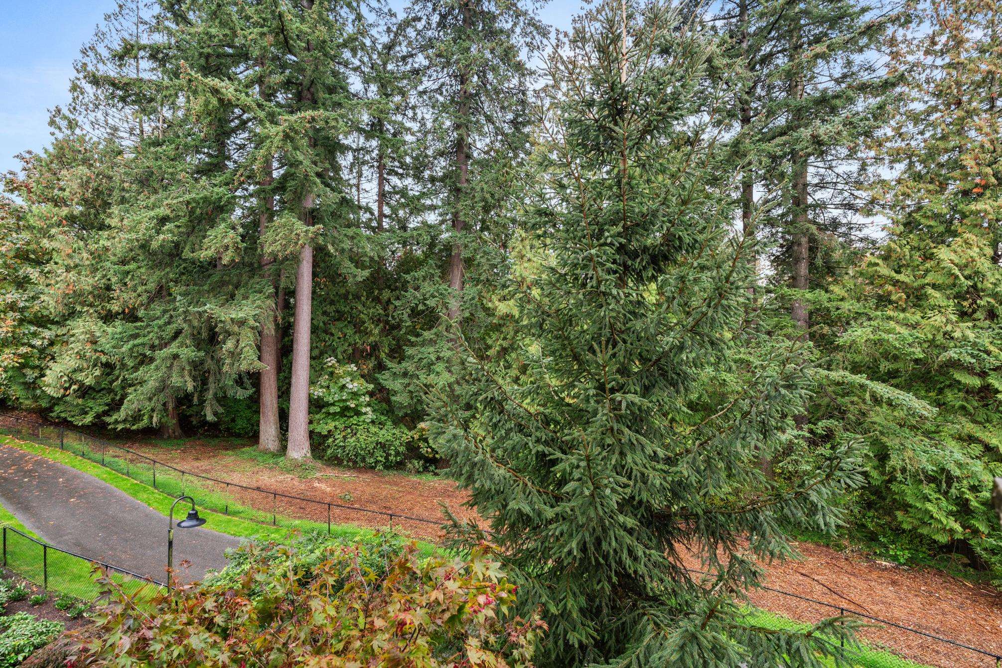 204 15145 36 Avenue, Surrey, Morgan Creek, V3Z 4R3 24