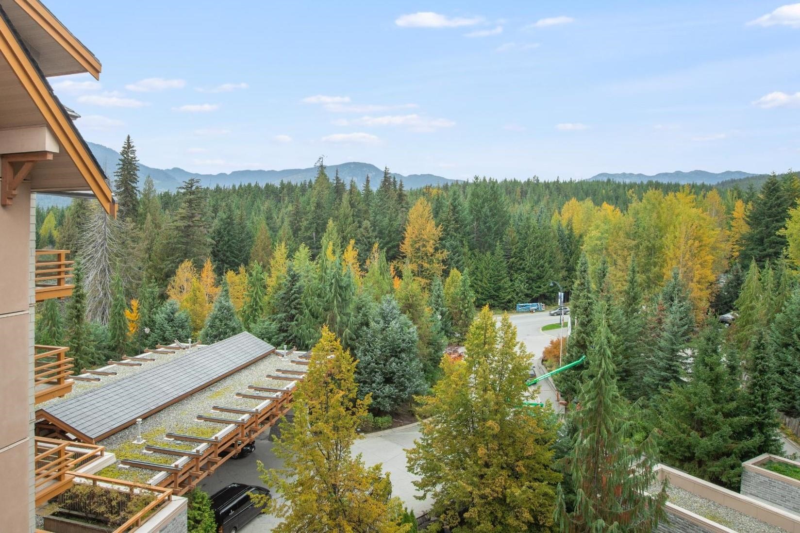 608 4591 Blackcomb Way, Whistler, Benchlands, V8E 0Y4 5