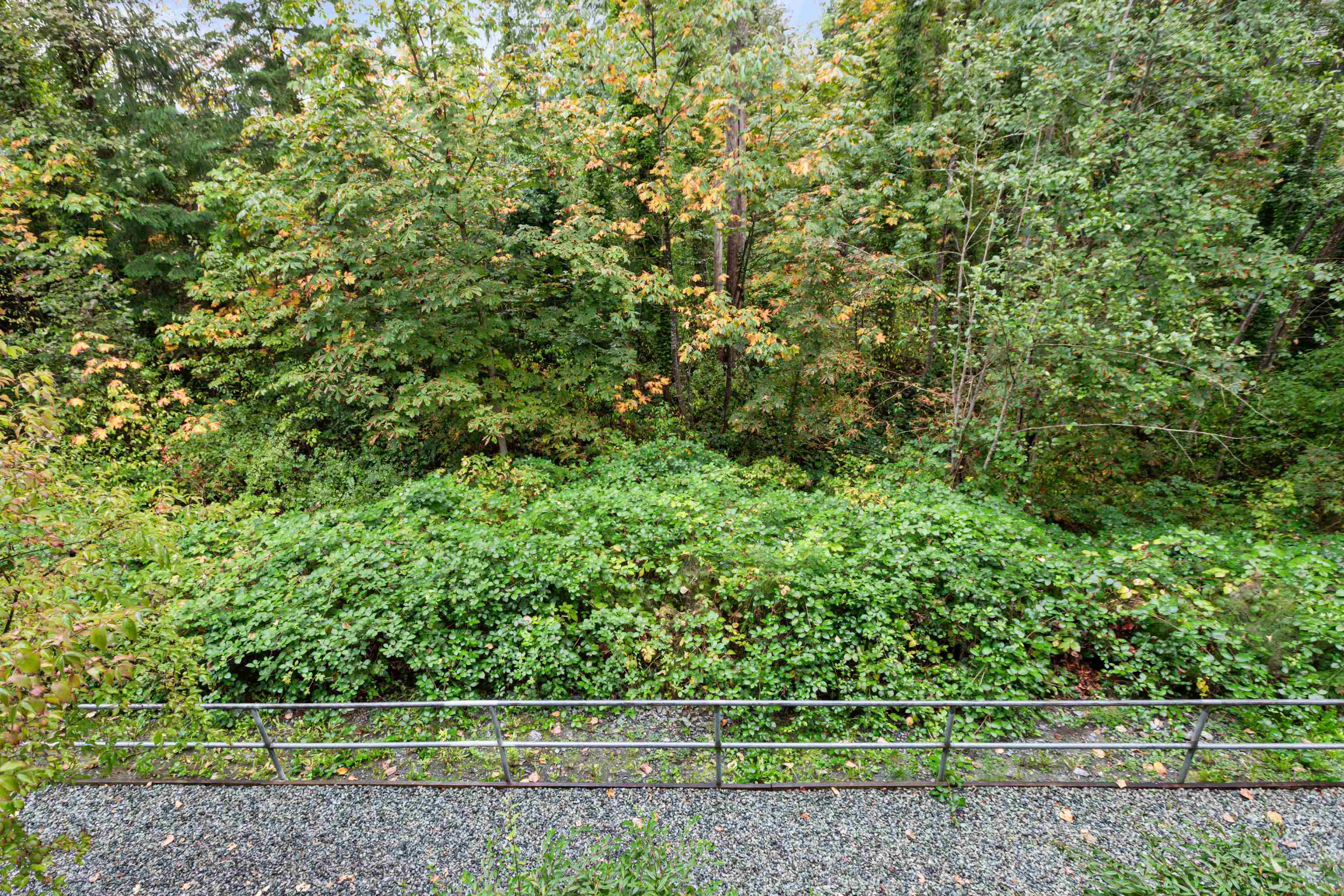 106 11667 Haney Bypass, Maple Ridge, West Central, V2X 8W9 27