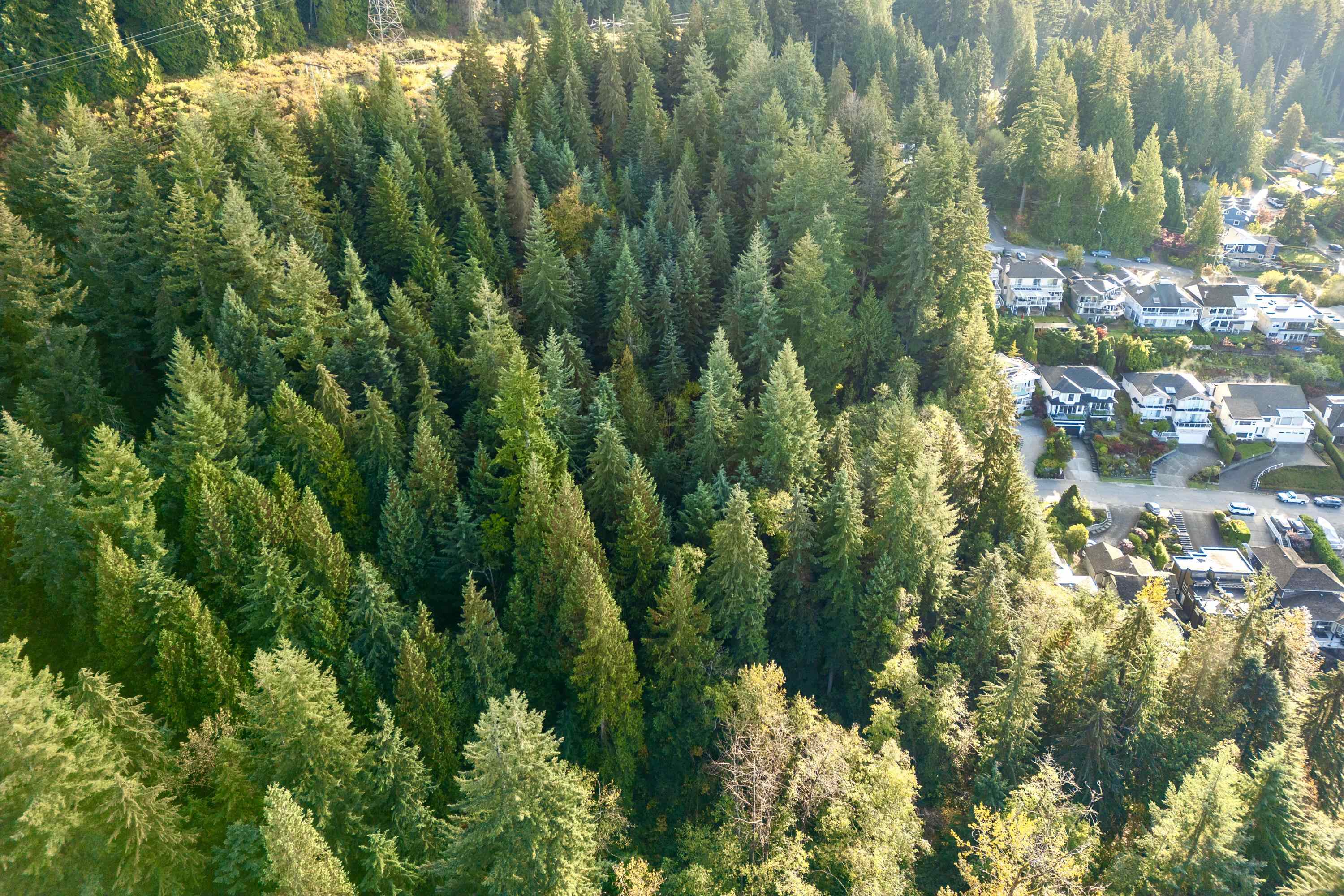 Listing image of 4500 ST. PAULS AVENUE - LOT A