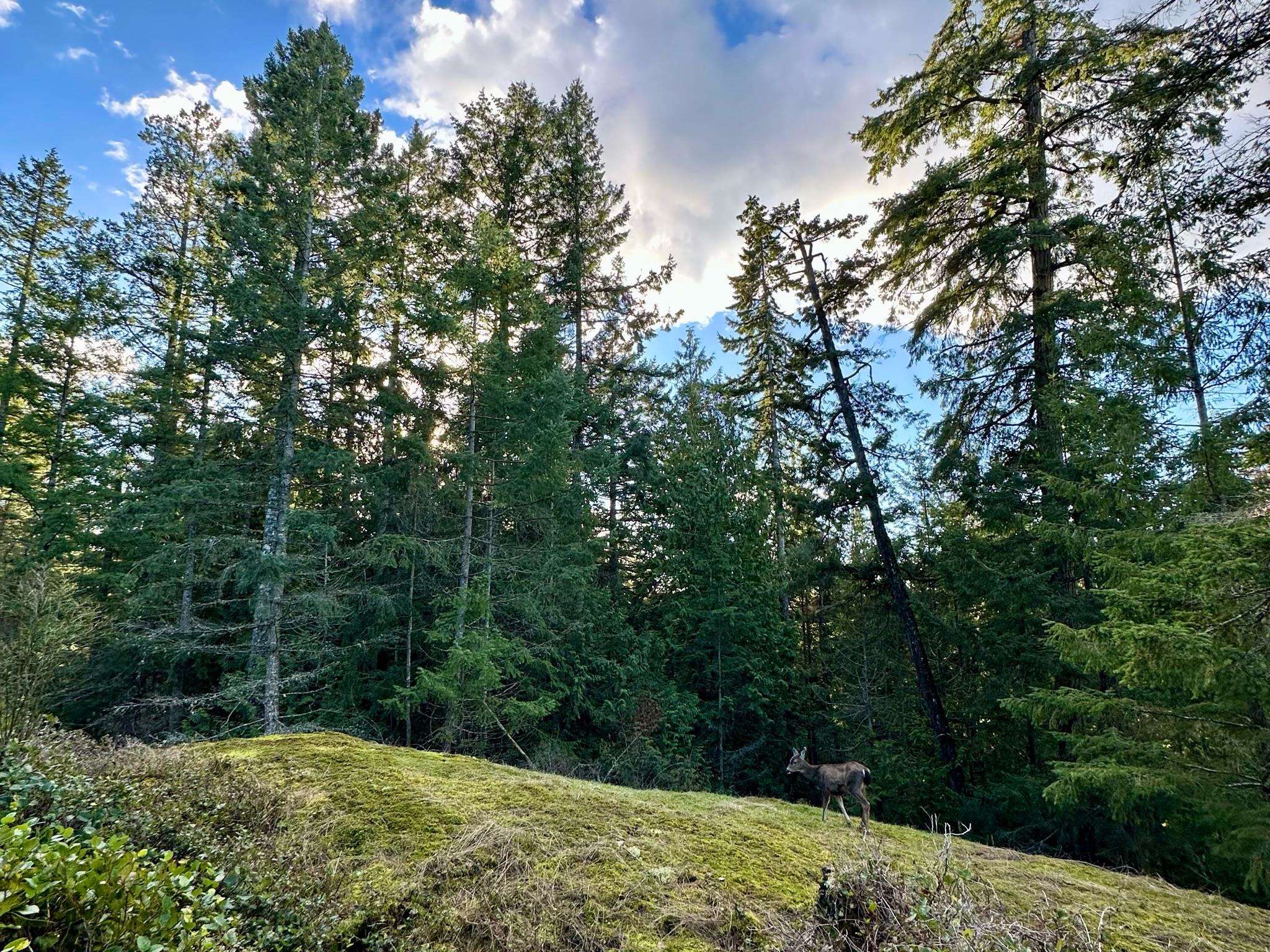 Listing image of 831 WINDJAMMER ROAD