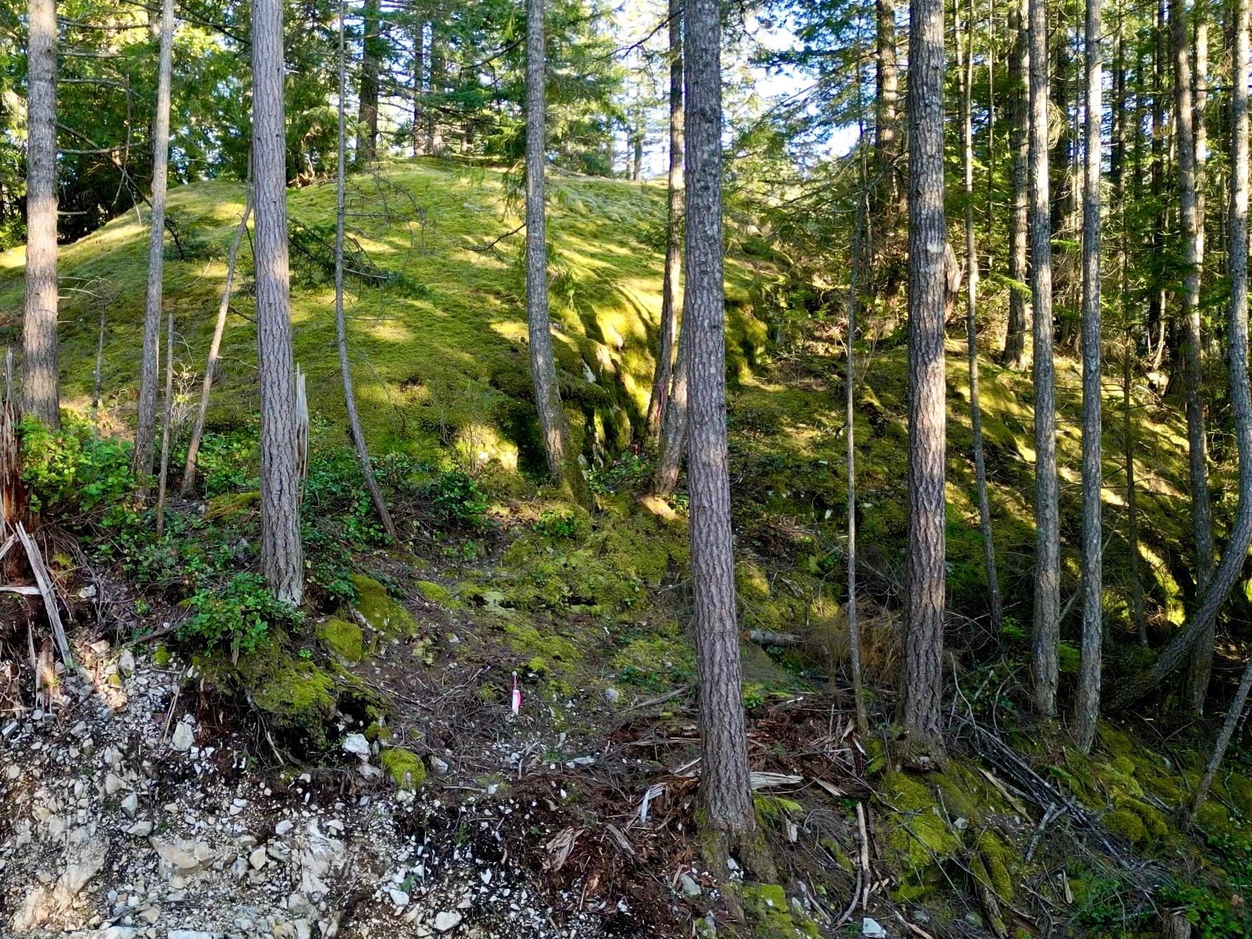 Listing image of 831 WINDJAMMER ROAD