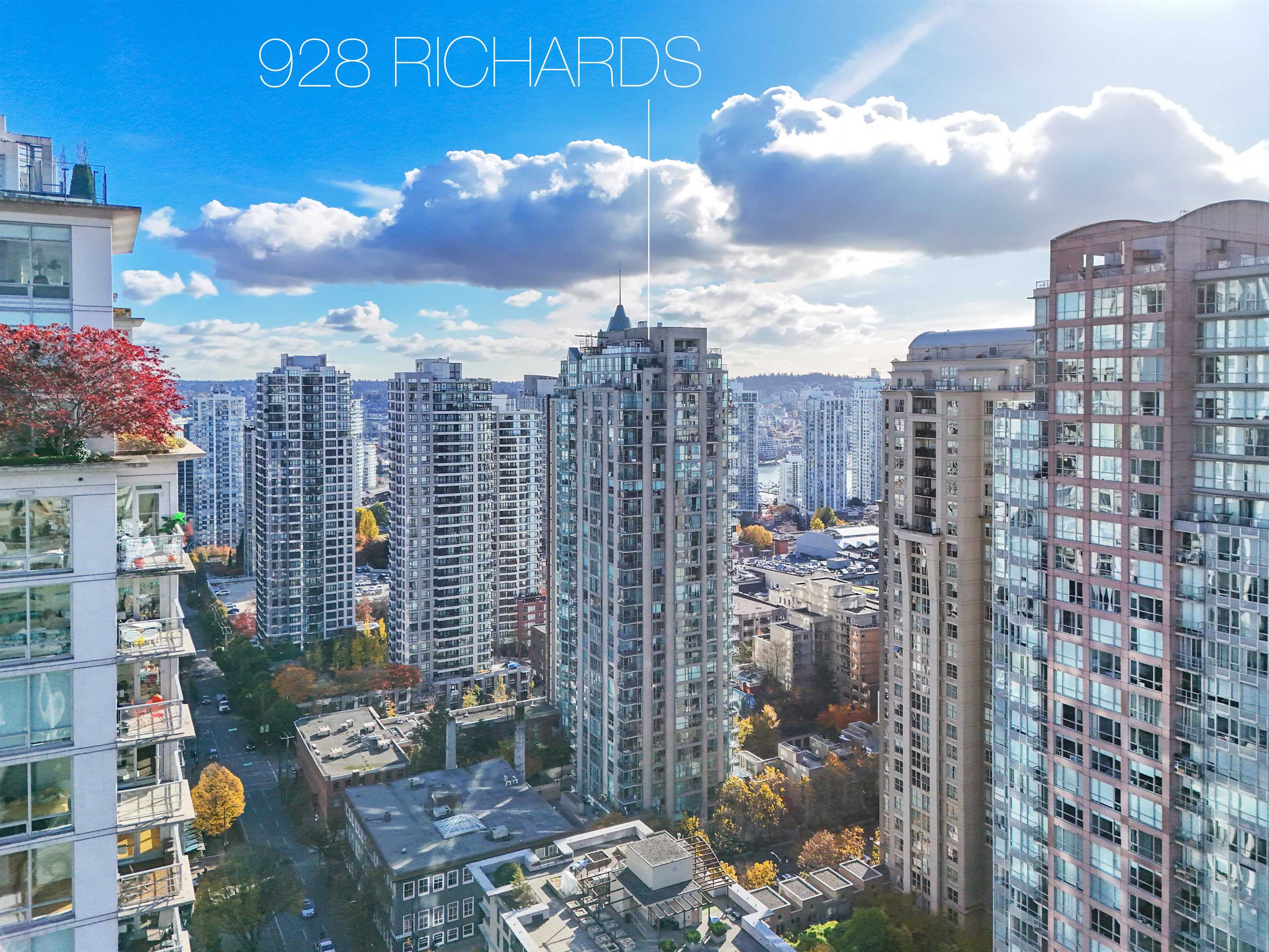 2002 928 Richards Street, Vancouver, Yaletown, V6B 6P6 31