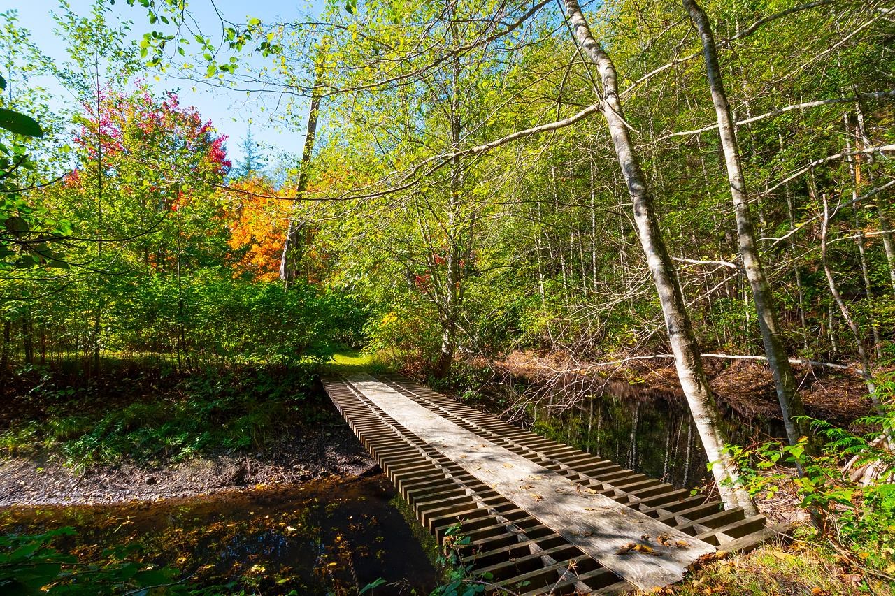 Listing image of 1293 WESTSIDE ROAD