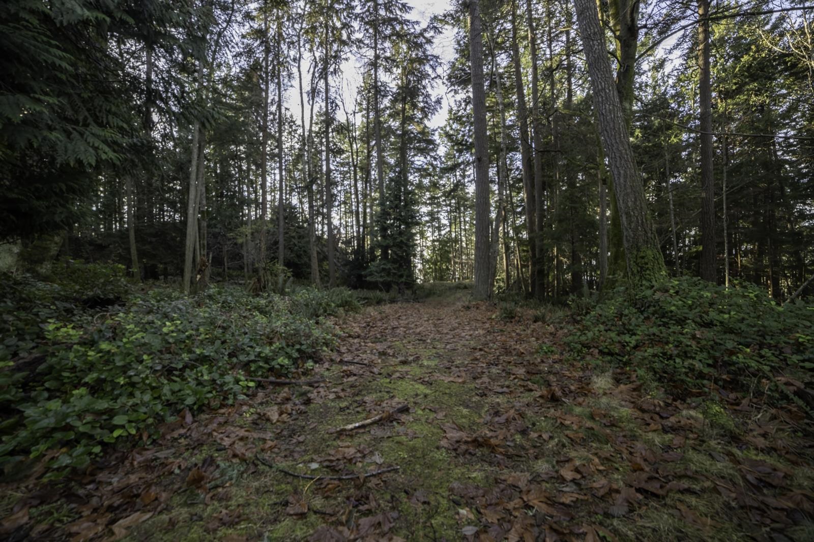 Listing image of 1860 LIGHTHOUSE LANE