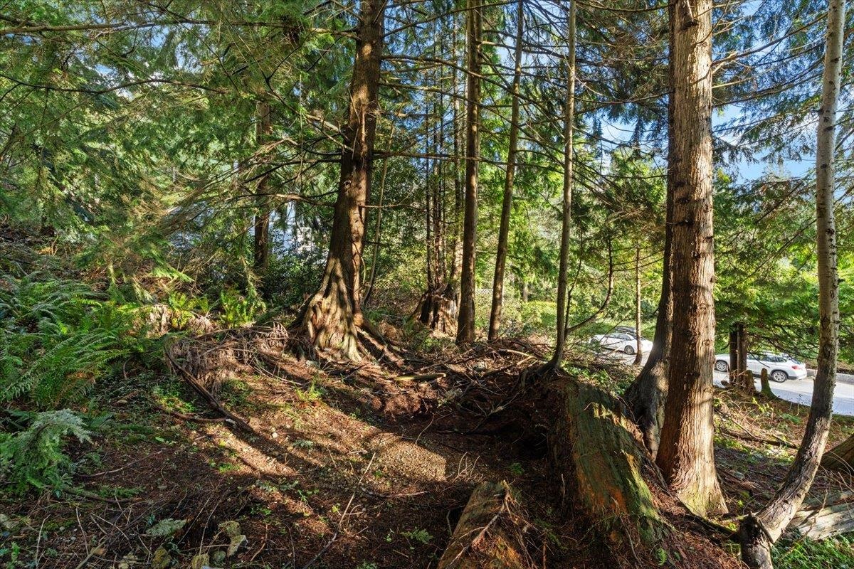 Listing image of 478 CRAIGMOHR DRIVE