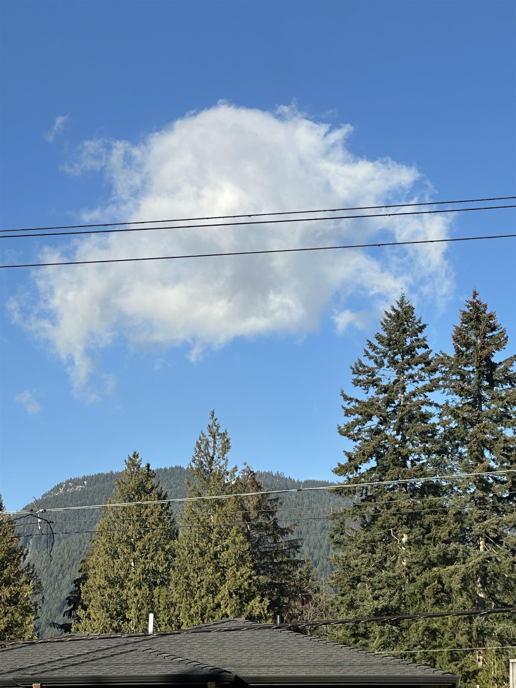 Listing image of 181 W WINDSOR ROAD
