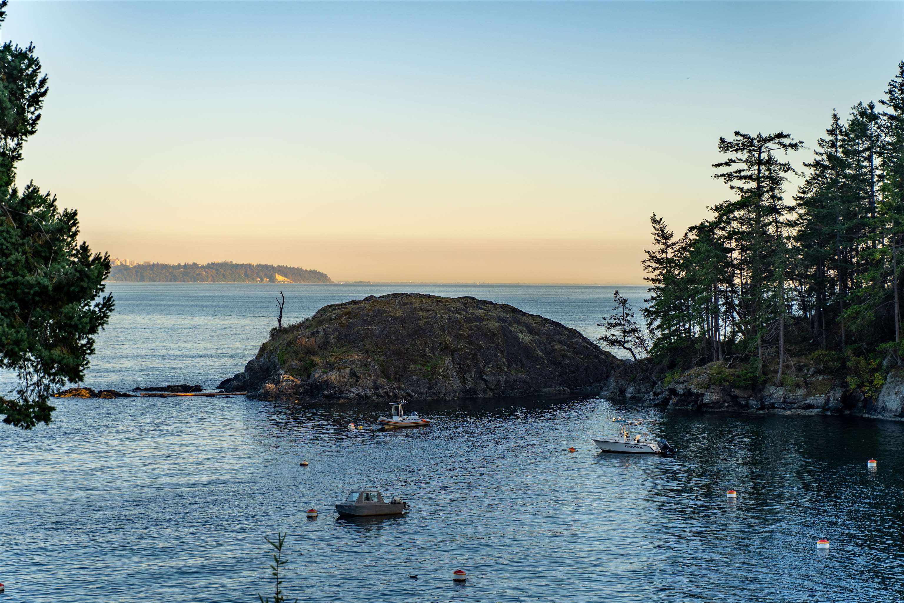 Listing image of 239 SHORE LANE