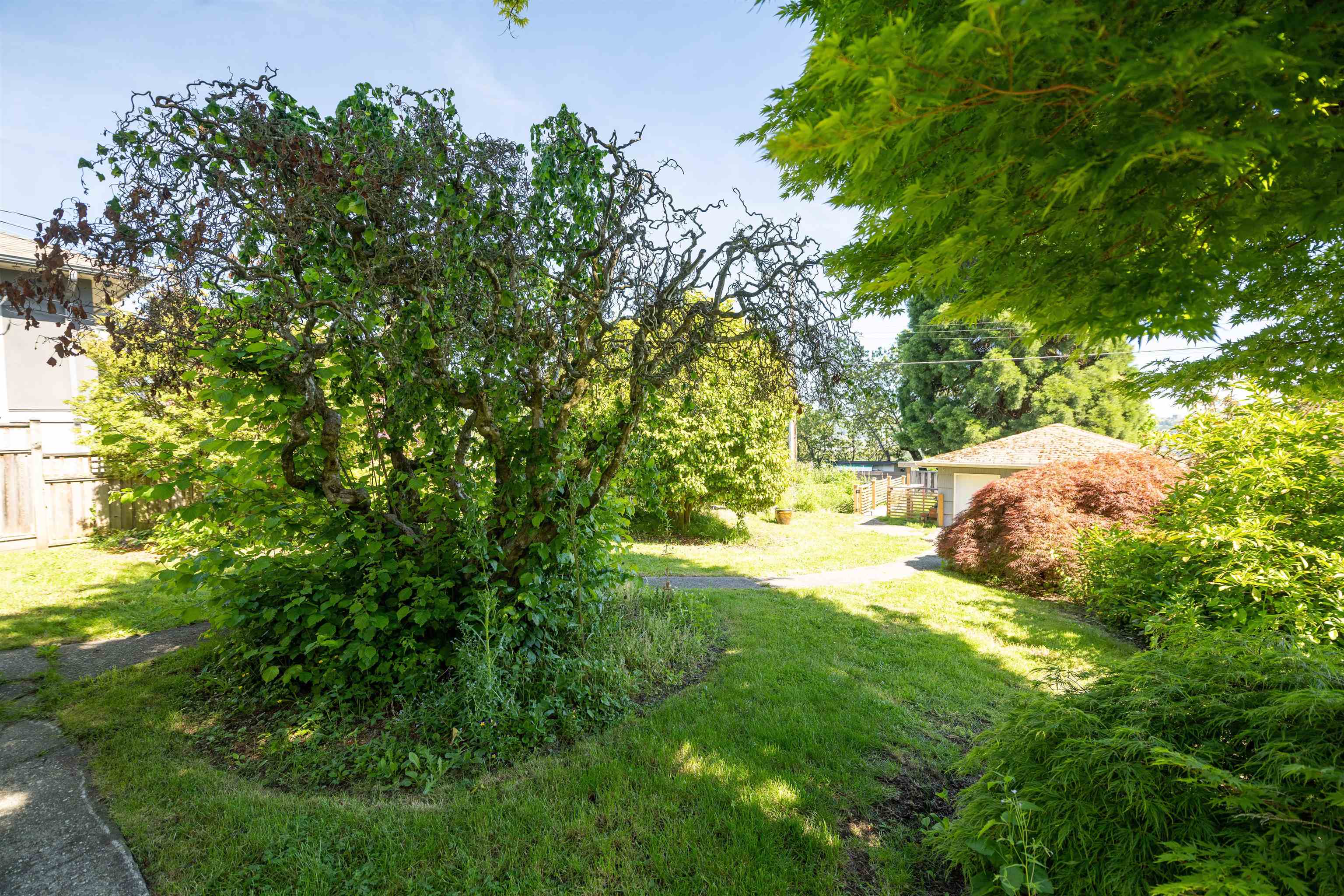 Listing image of 823 CALVERHALL STREET