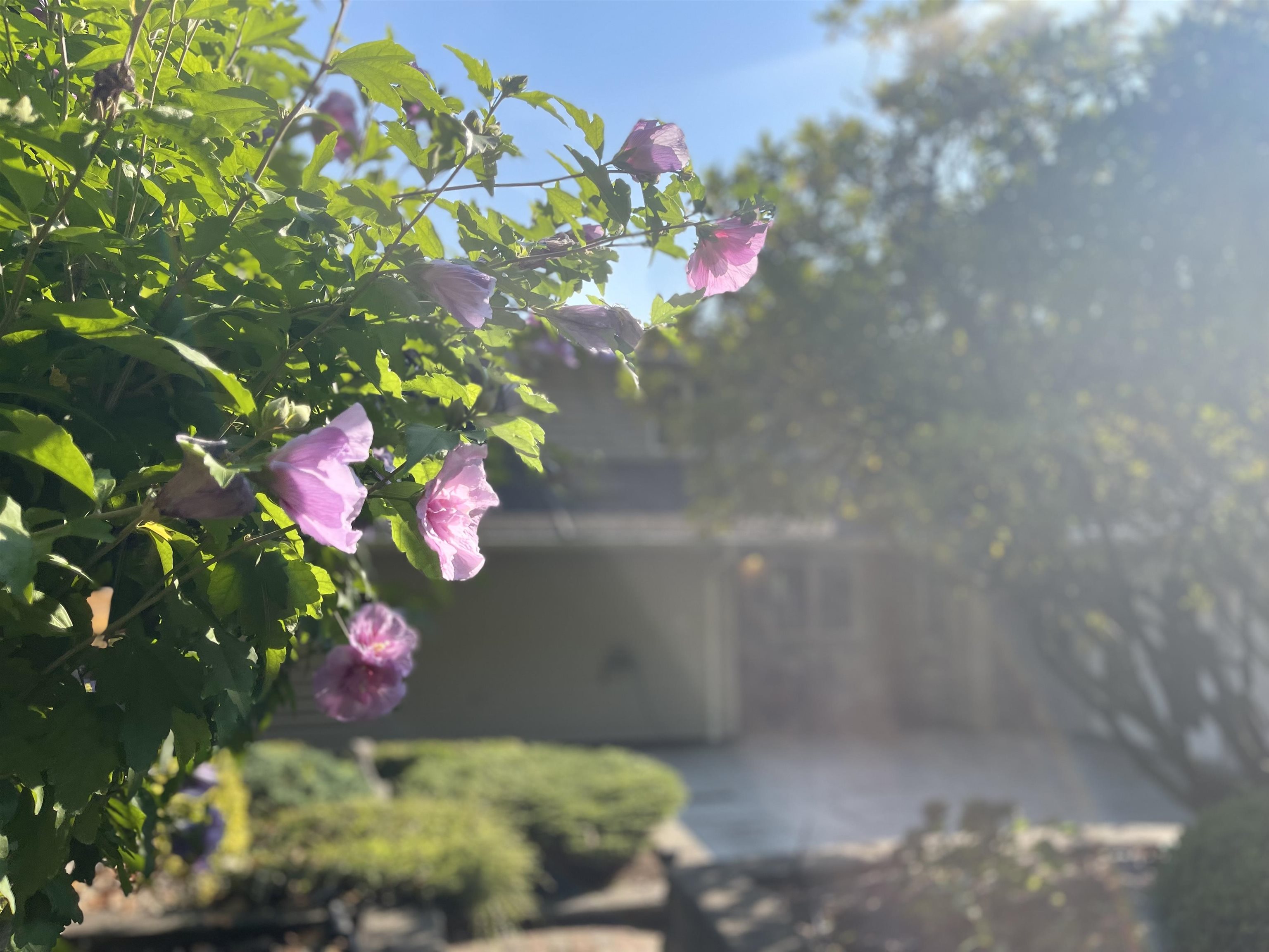 Listing image of 539 NEWCROFT PLACE