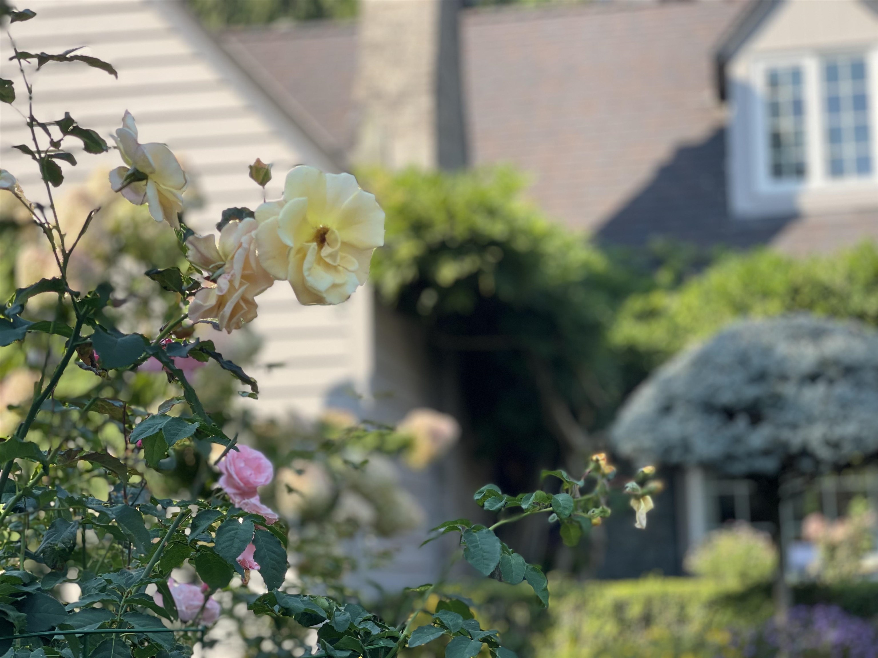 Listing image of 539 NEWCROFT PLACE