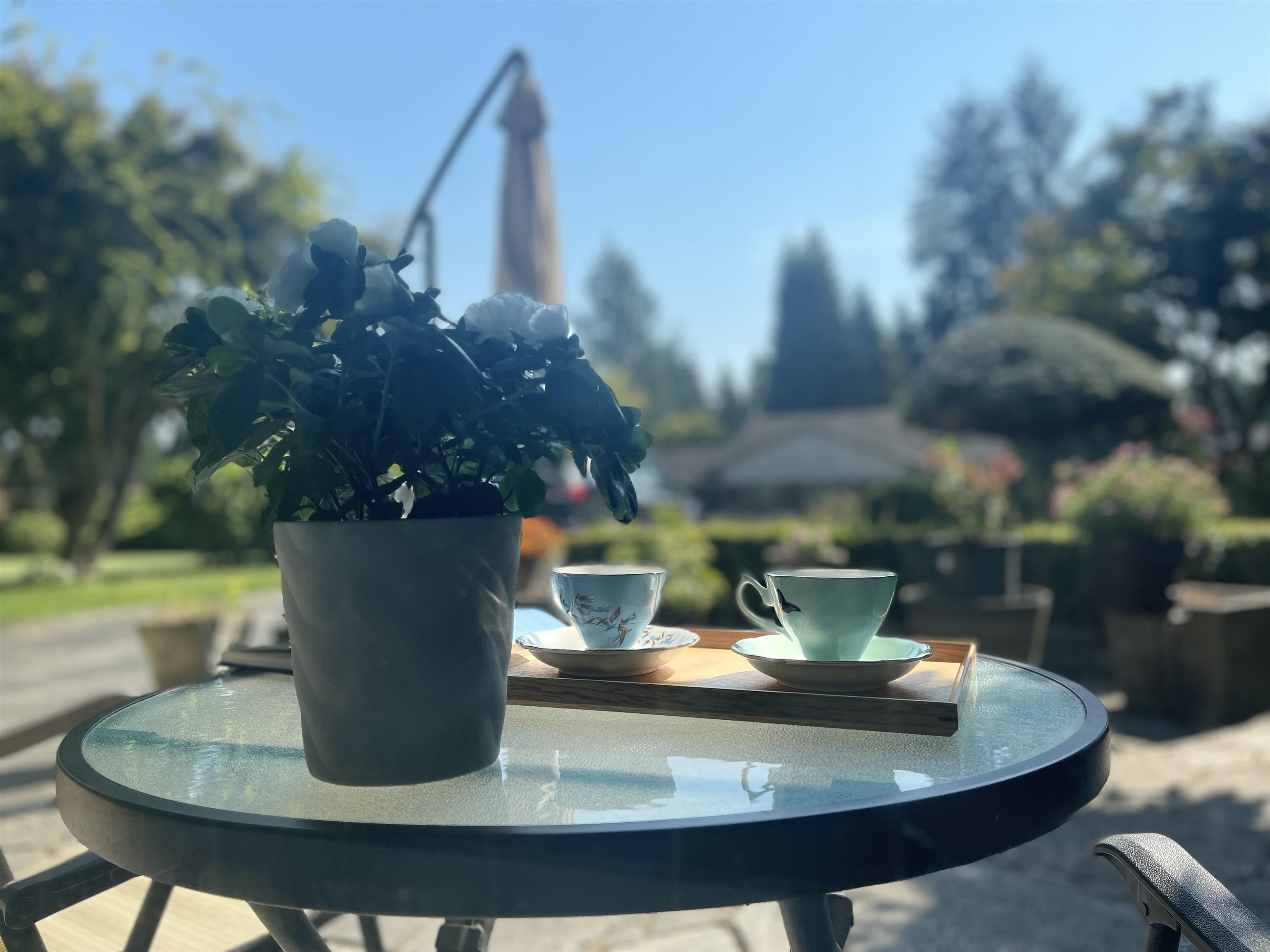 Listing image of 539 NEWCROFT PLACE