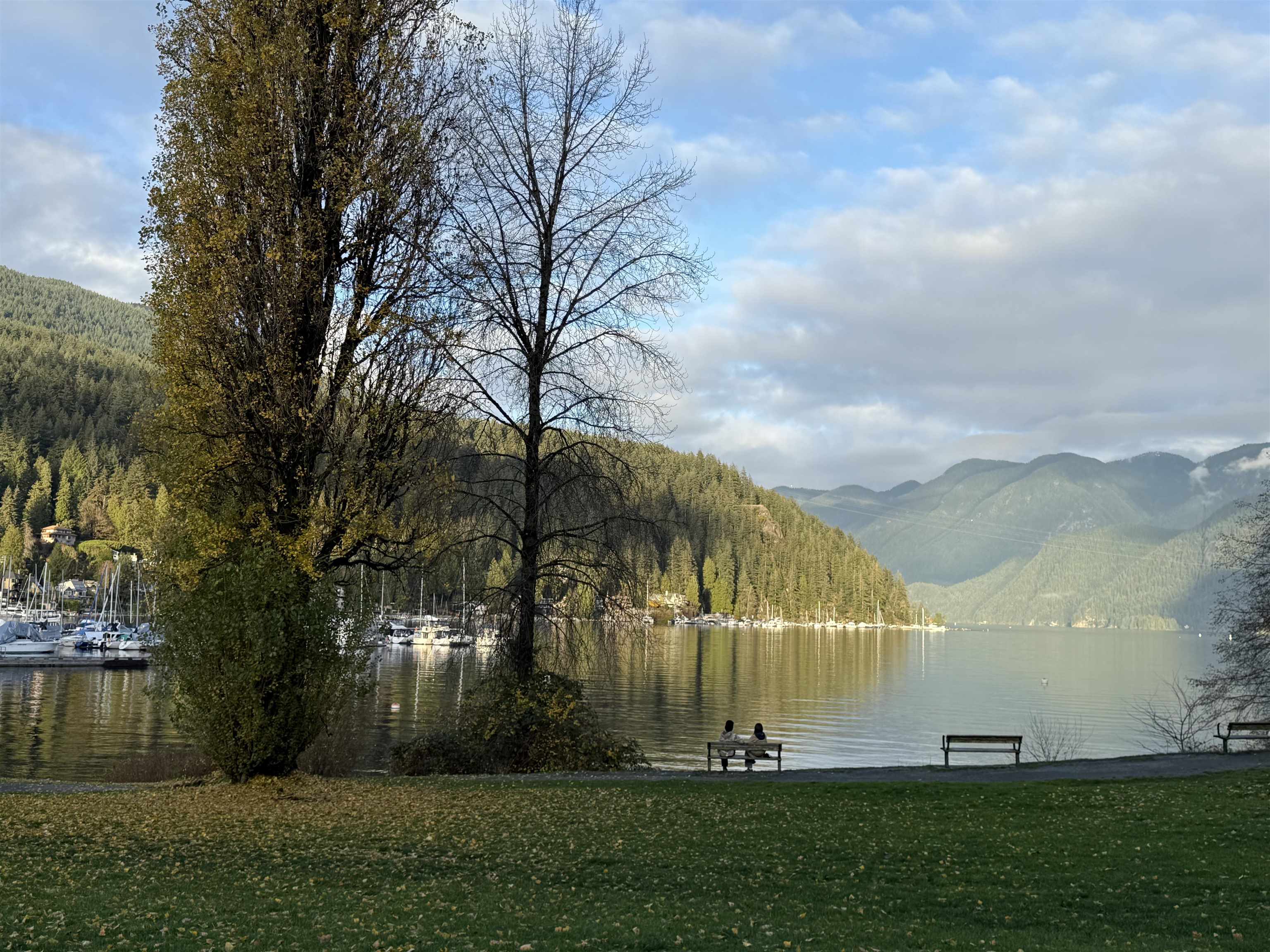 Listing image of 4593 CLIFFMONT ROAD