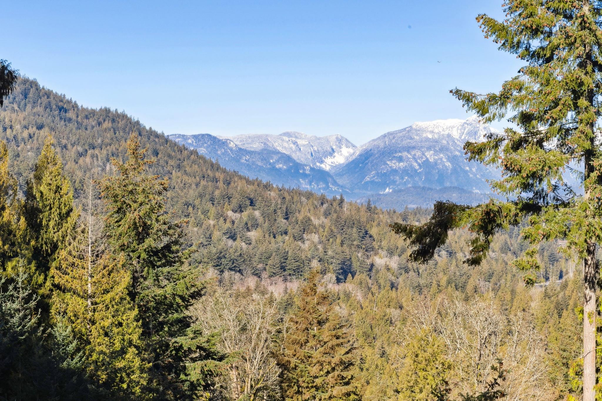 Listing image of 555 ROOCROFT LANE