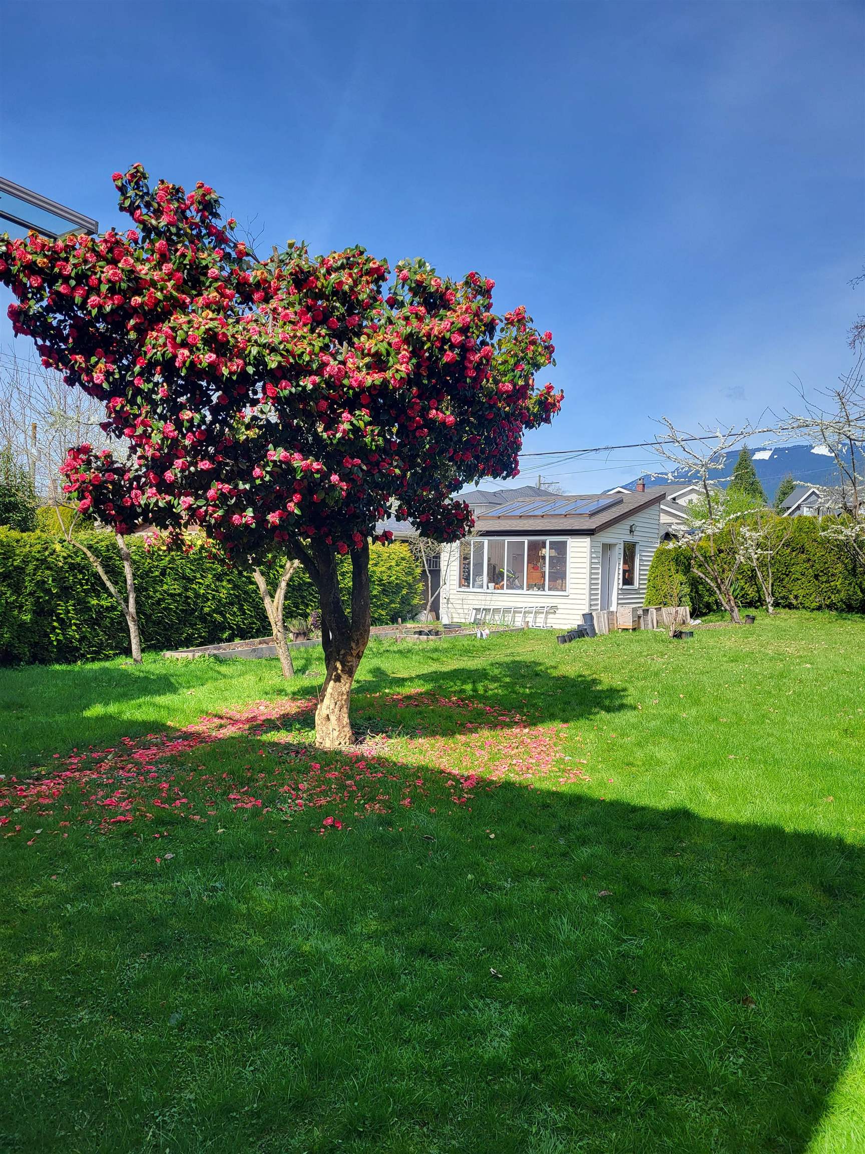 Listing image of 628 E 9TH STREET
