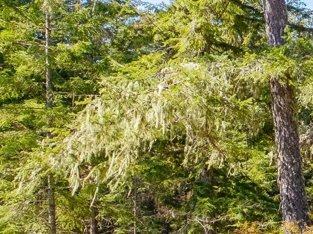 Listing image of 1570 DOUGLAS ROAD