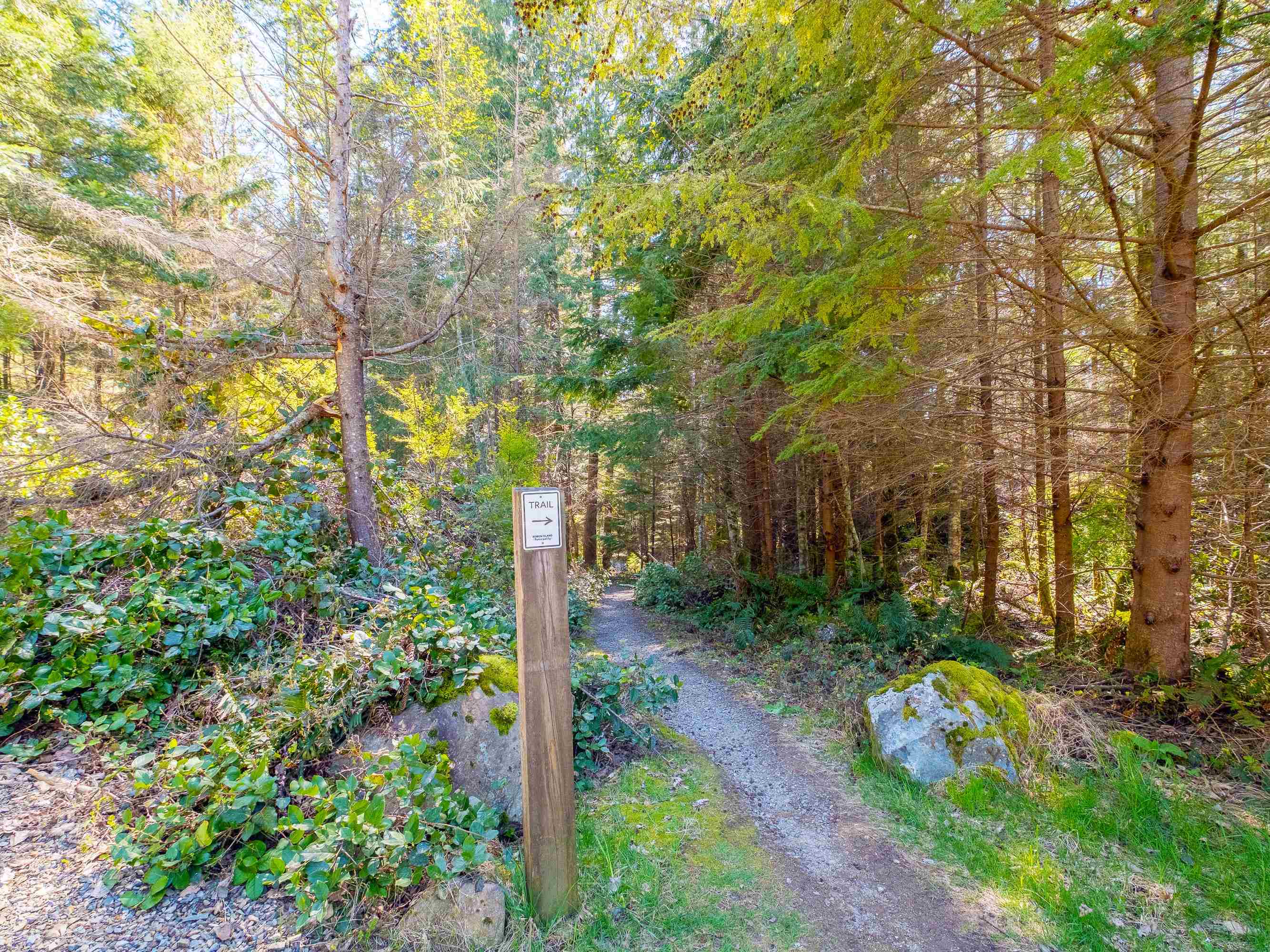 Listing image of 1570 DOUGLAS ROAD