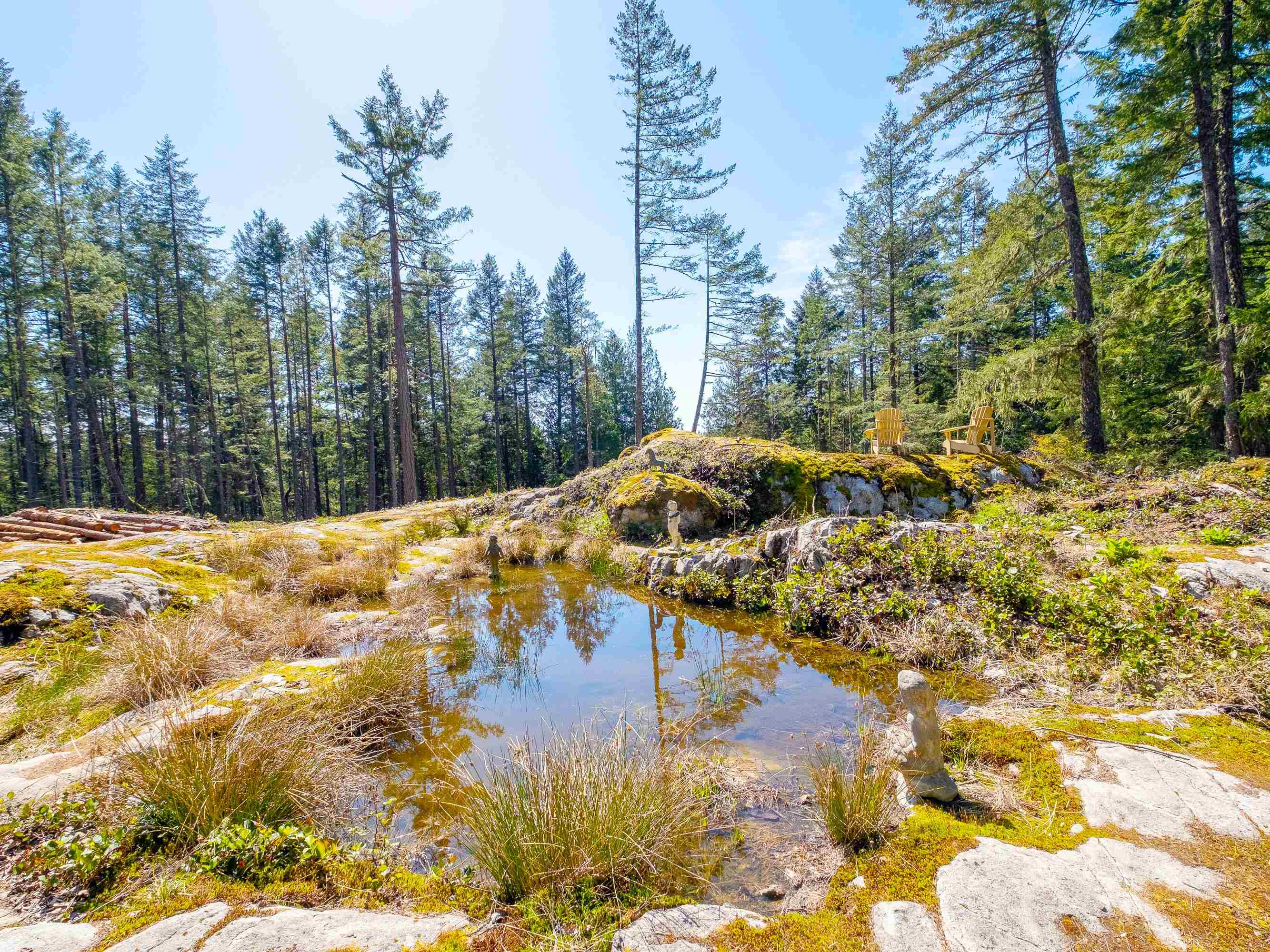 Listing image of 1570 DOUGLAS ROAD