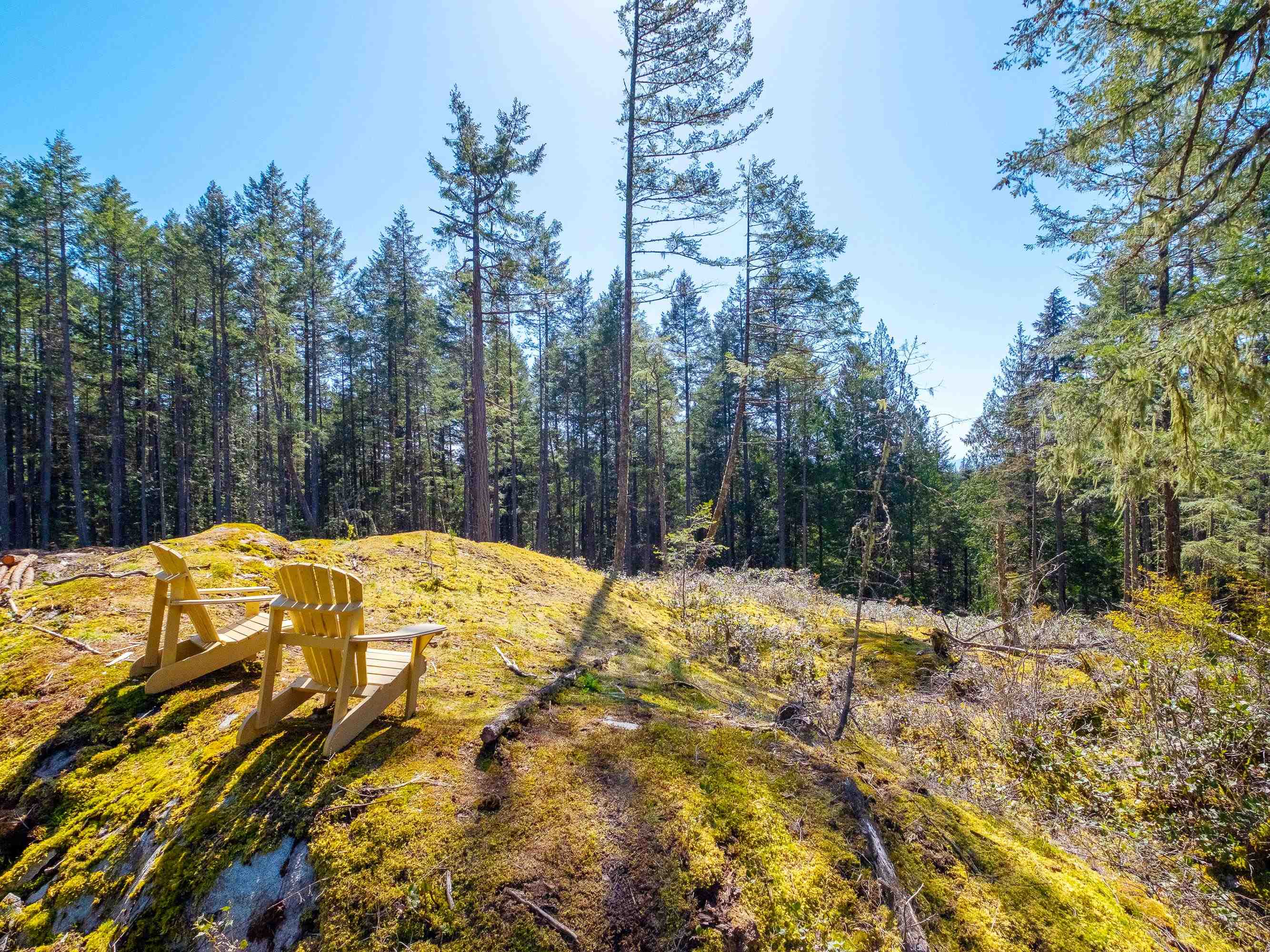 Listing image of 1570 DOUGLAS ROAD