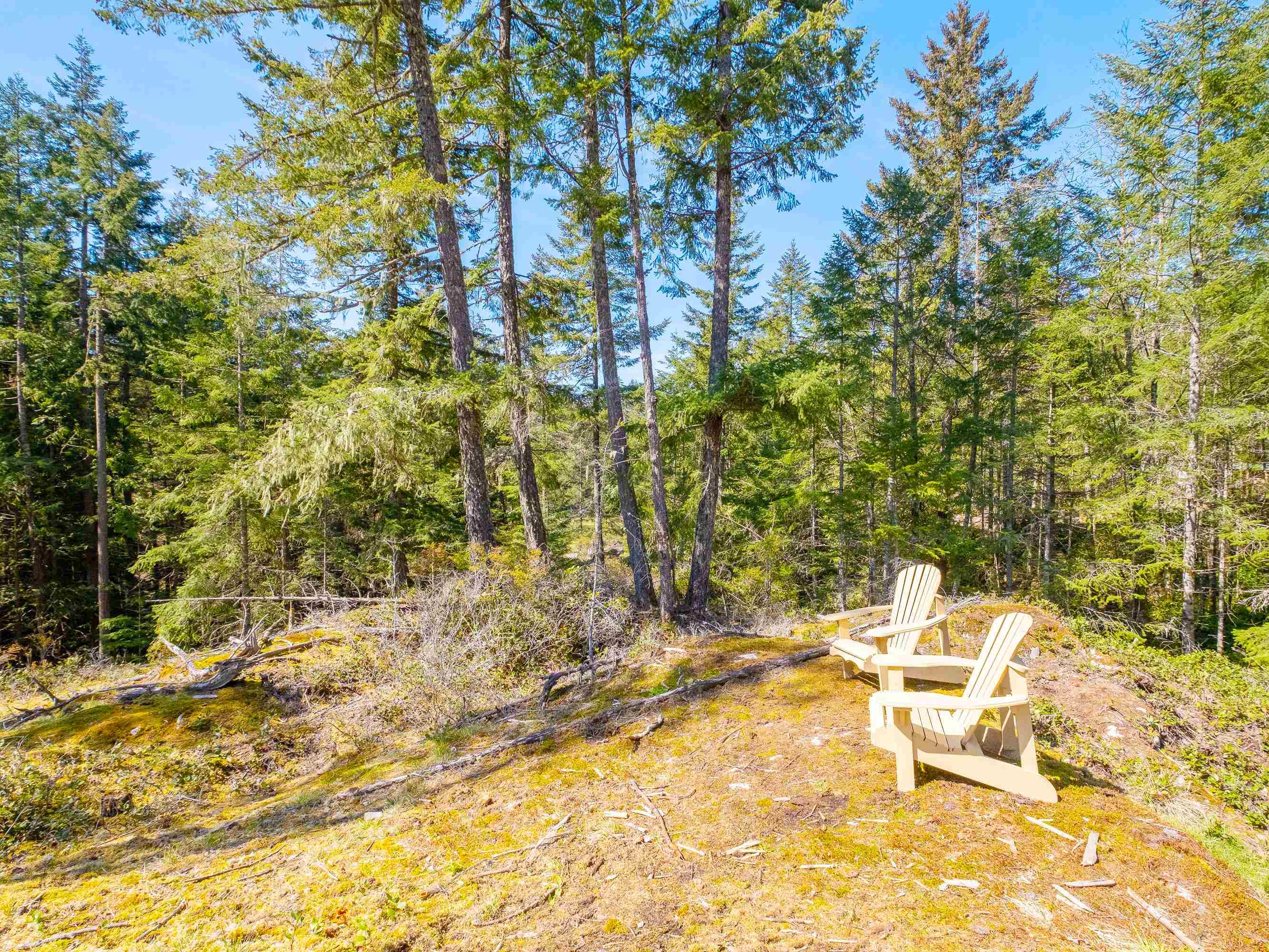 Listing image of 1570 DOUGLAS ROAD