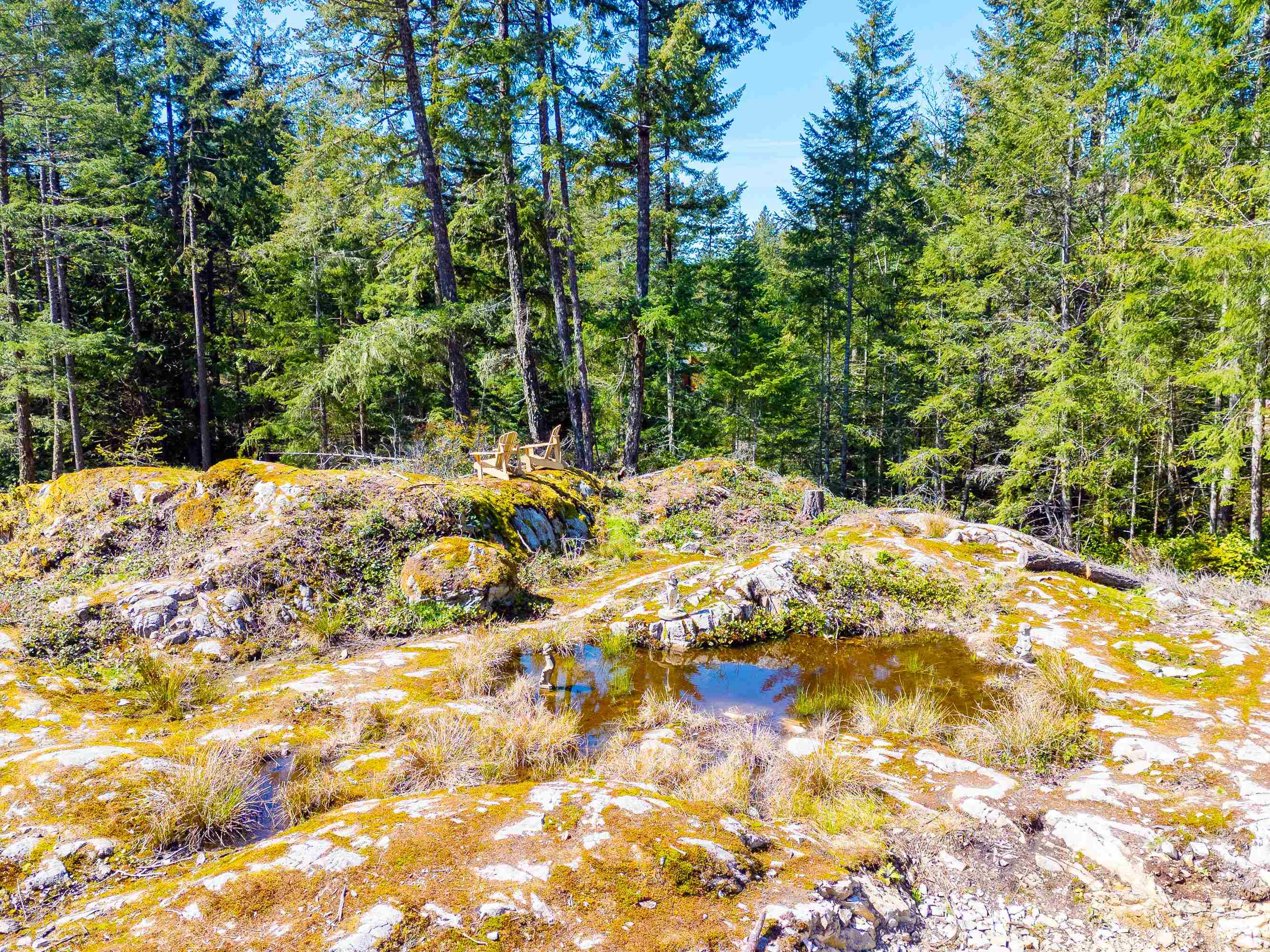 Listing image of 1570 DOUGLAS ROAD