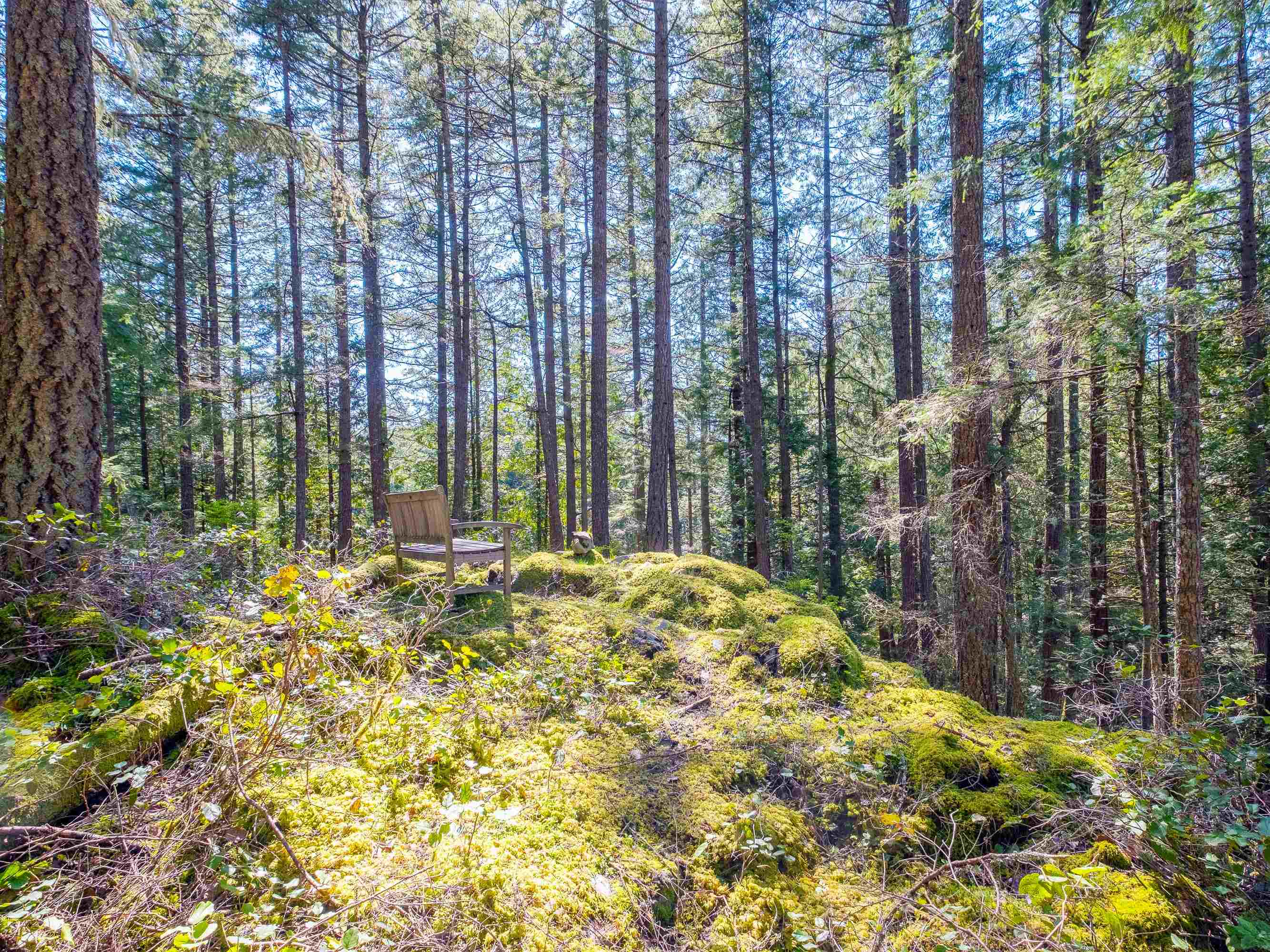 Listing image of 1570 DOUGLAS ROAD