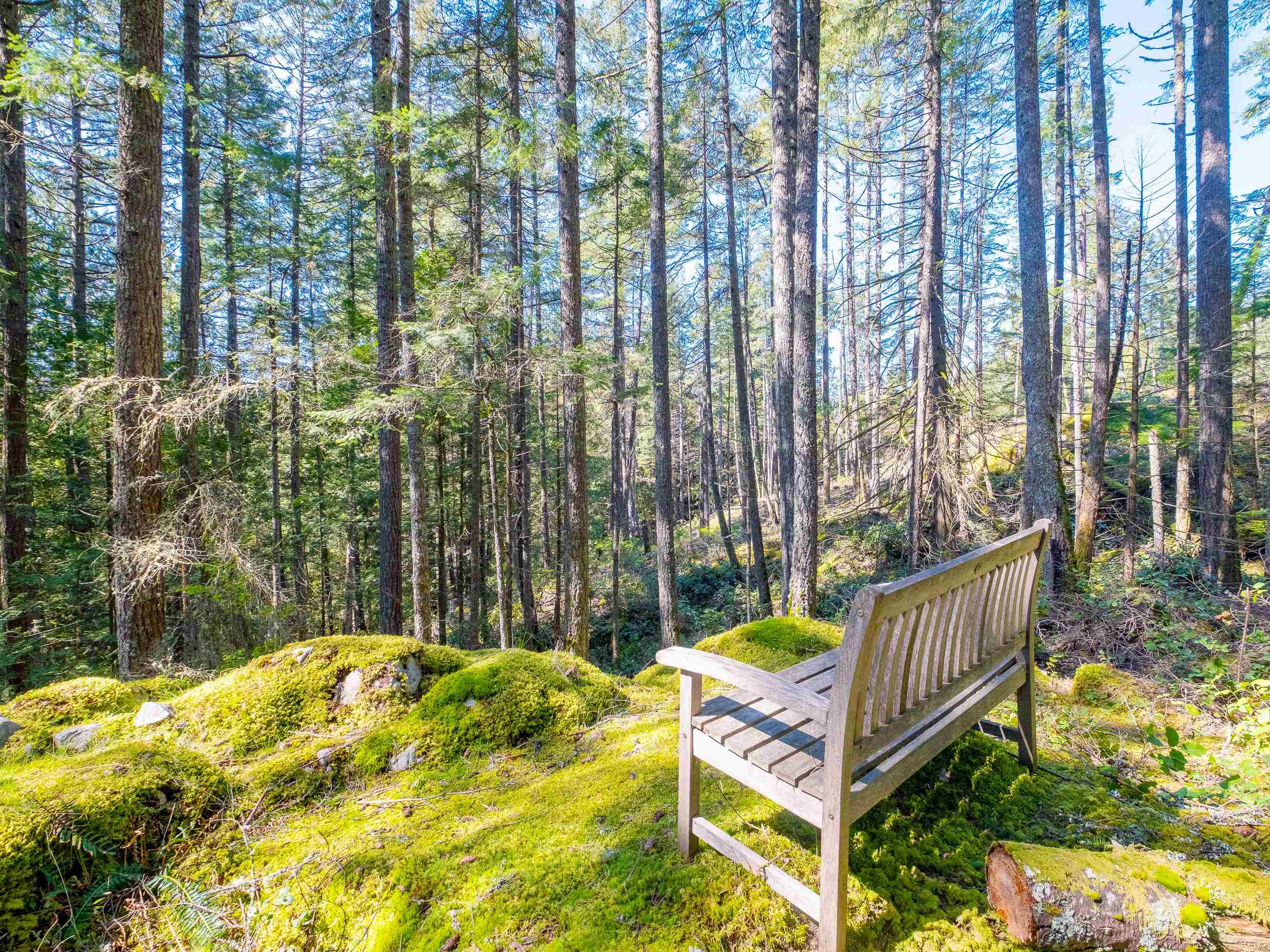 Listing image of 1570 DOUGLAS ROAD