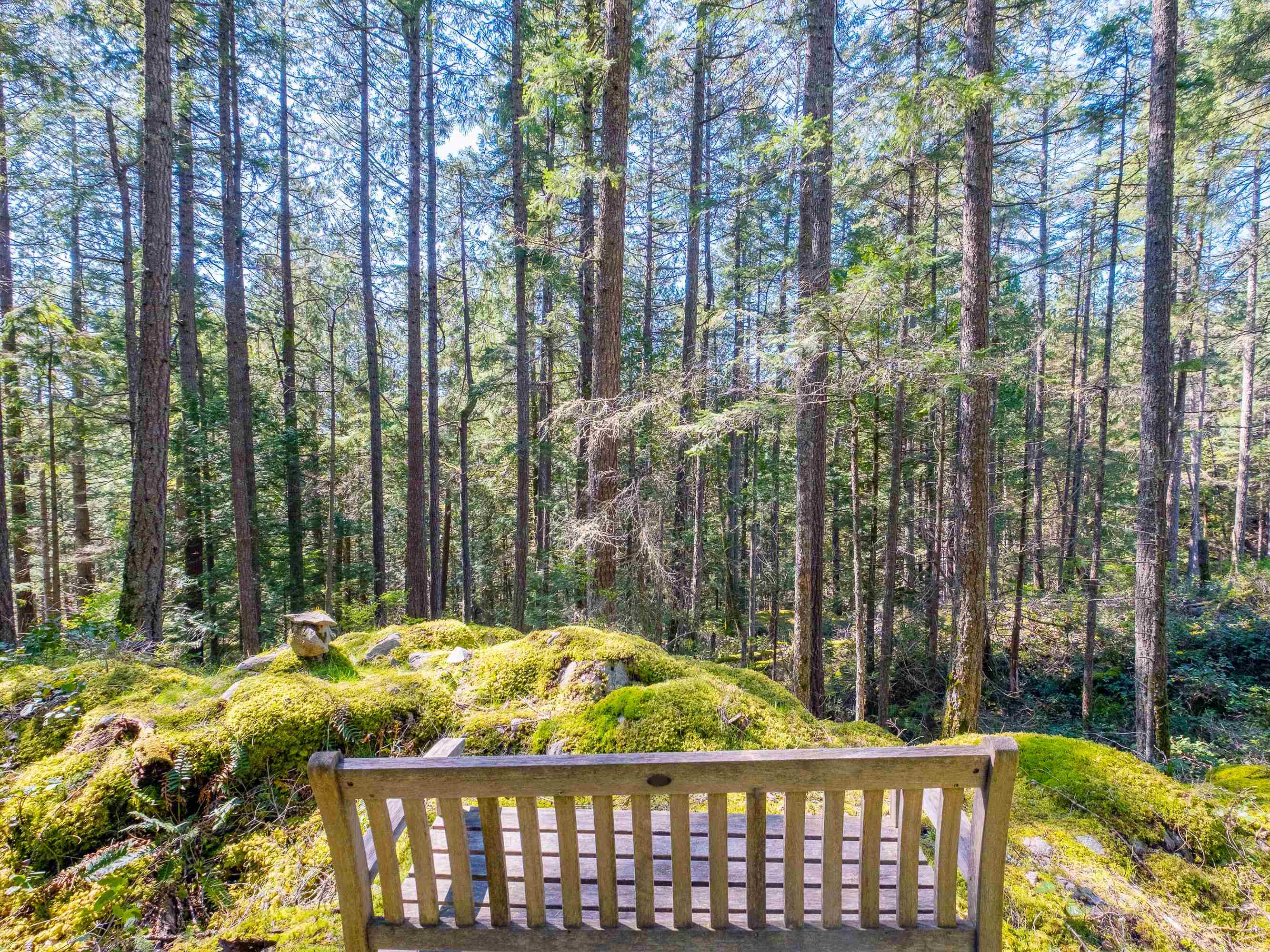 Listing image of 1570 DOUGLAS ROAD
