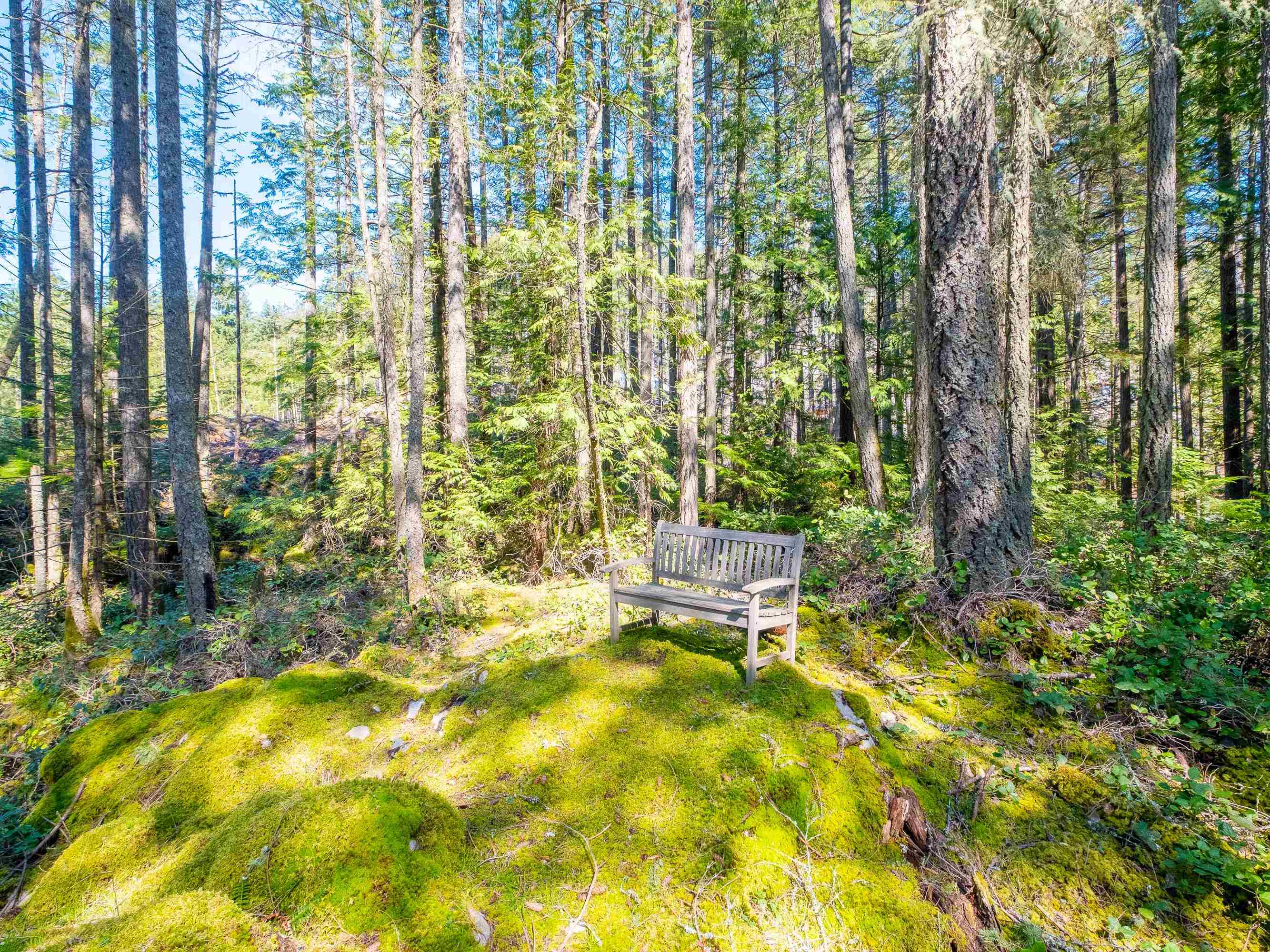 Listing image of 1570 DOUGLAS ROAD