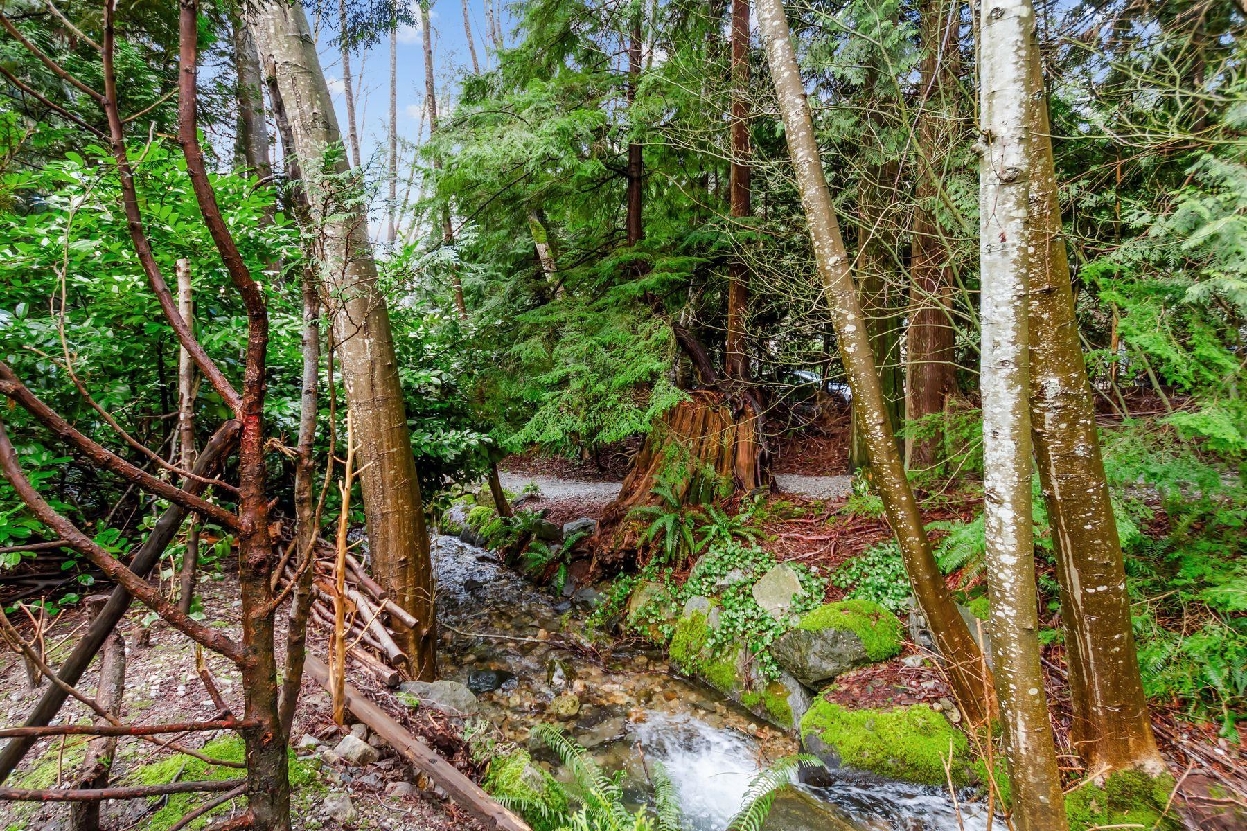 Listing image of 5655 WHITE PINE LANE