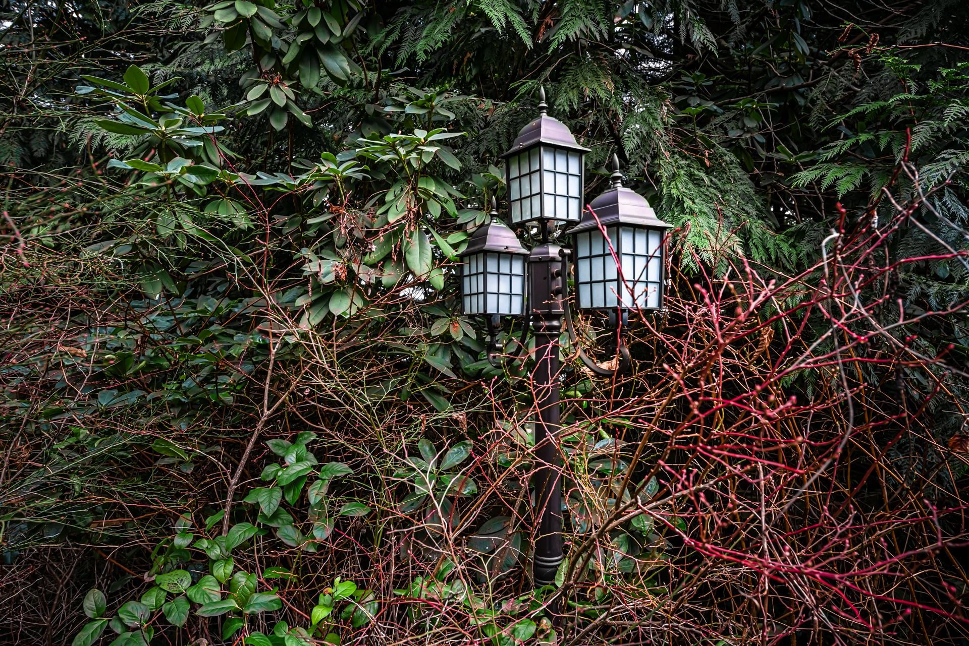 Listing image of 510 ST. ANDREWS ROAD