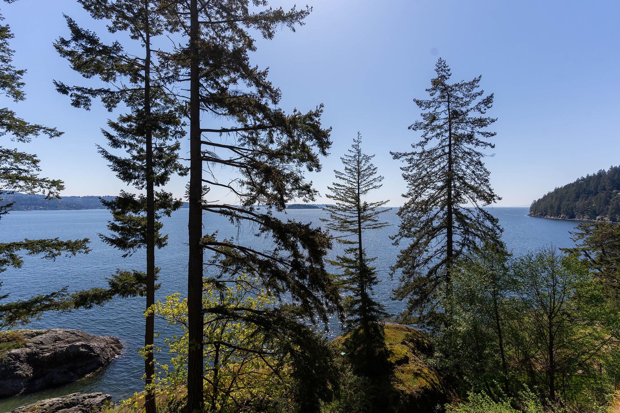 Listing image of 825 HUMMINGBIRD LANE
