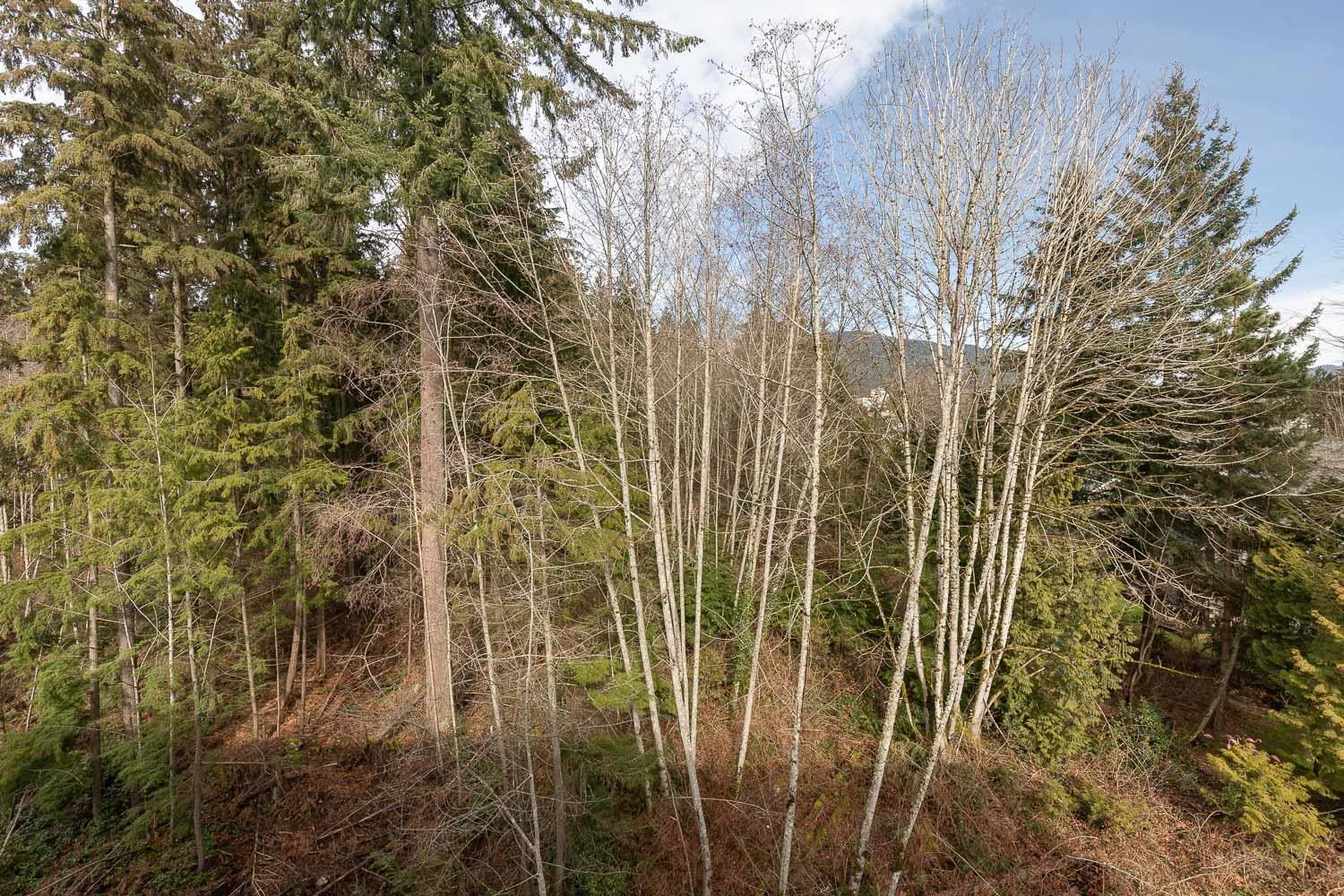 Listing image of 612 3596 MALSUM DRIVE