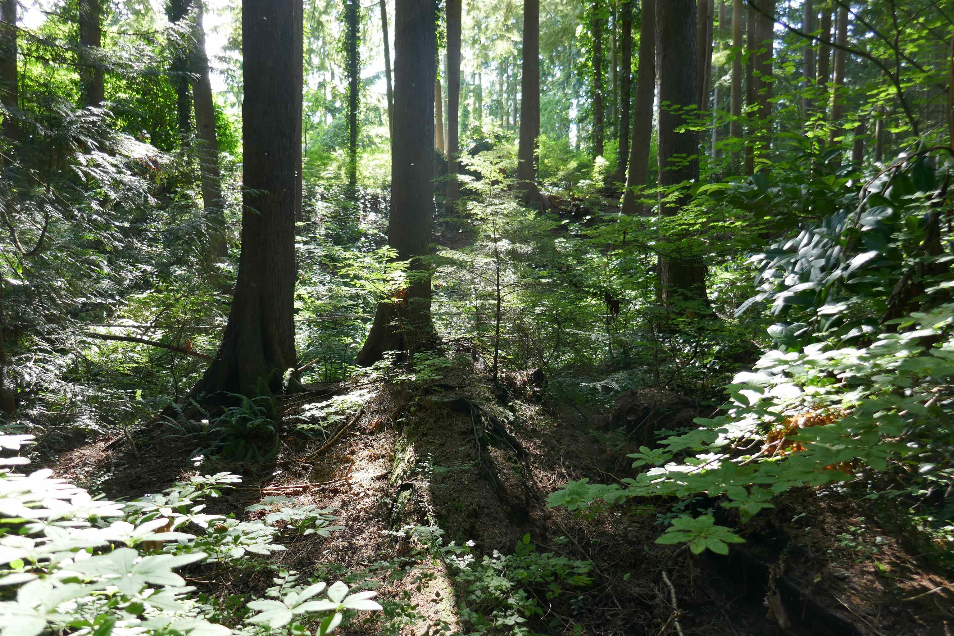 Listing image of 937 MONTROYAL BOULEVARD