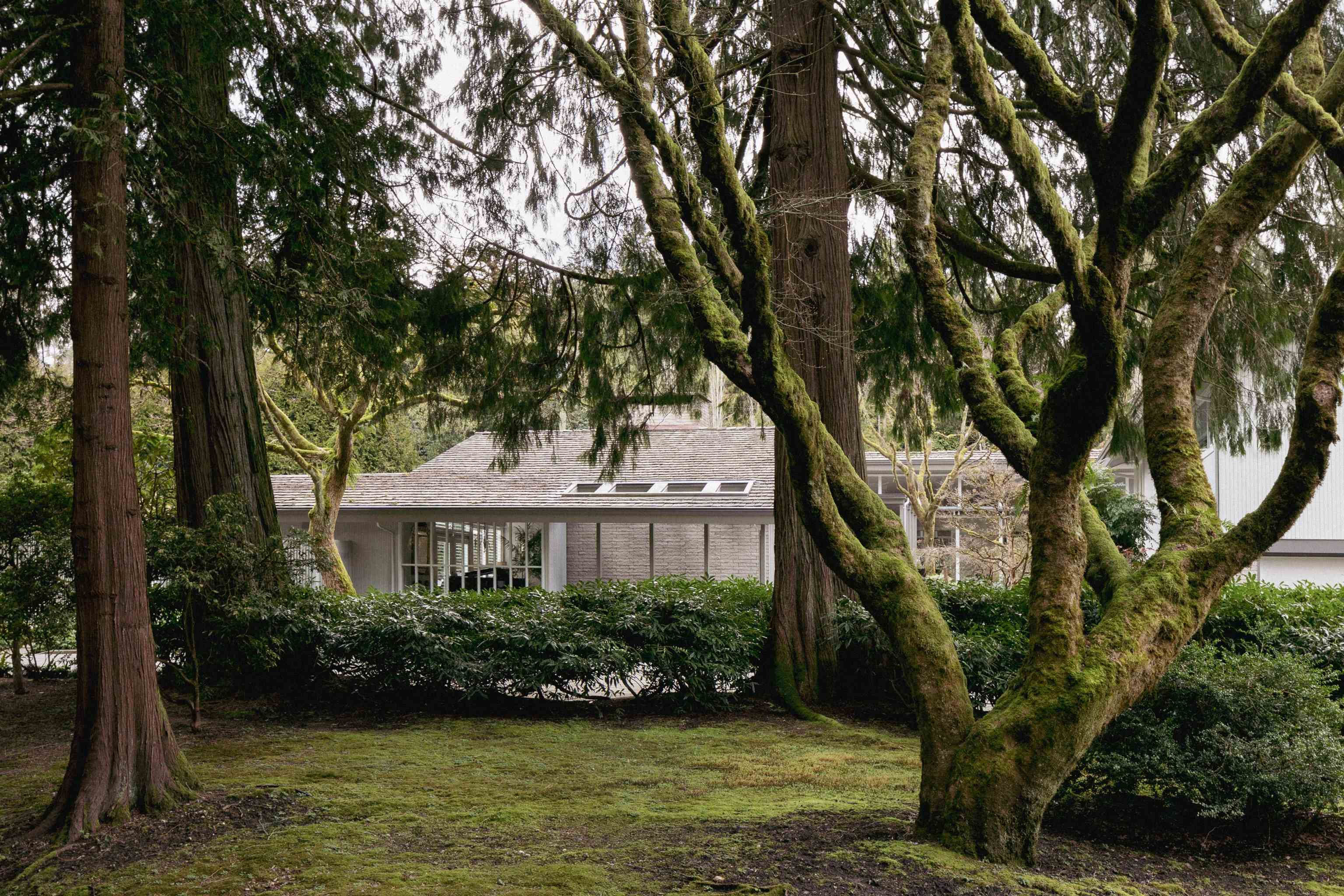 Listing image of 425 RABBIT LANE