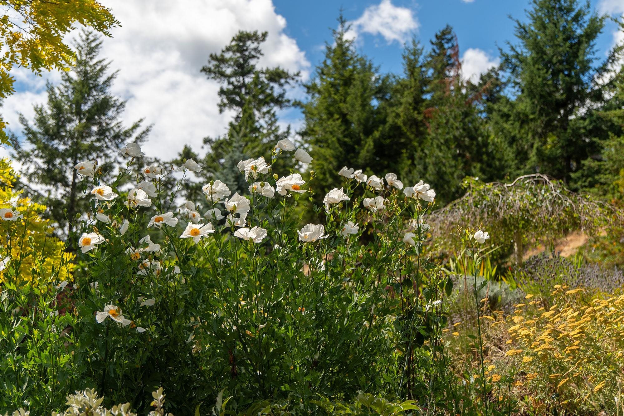 Listing image of 1545 EAGLE CLIFF ROAD