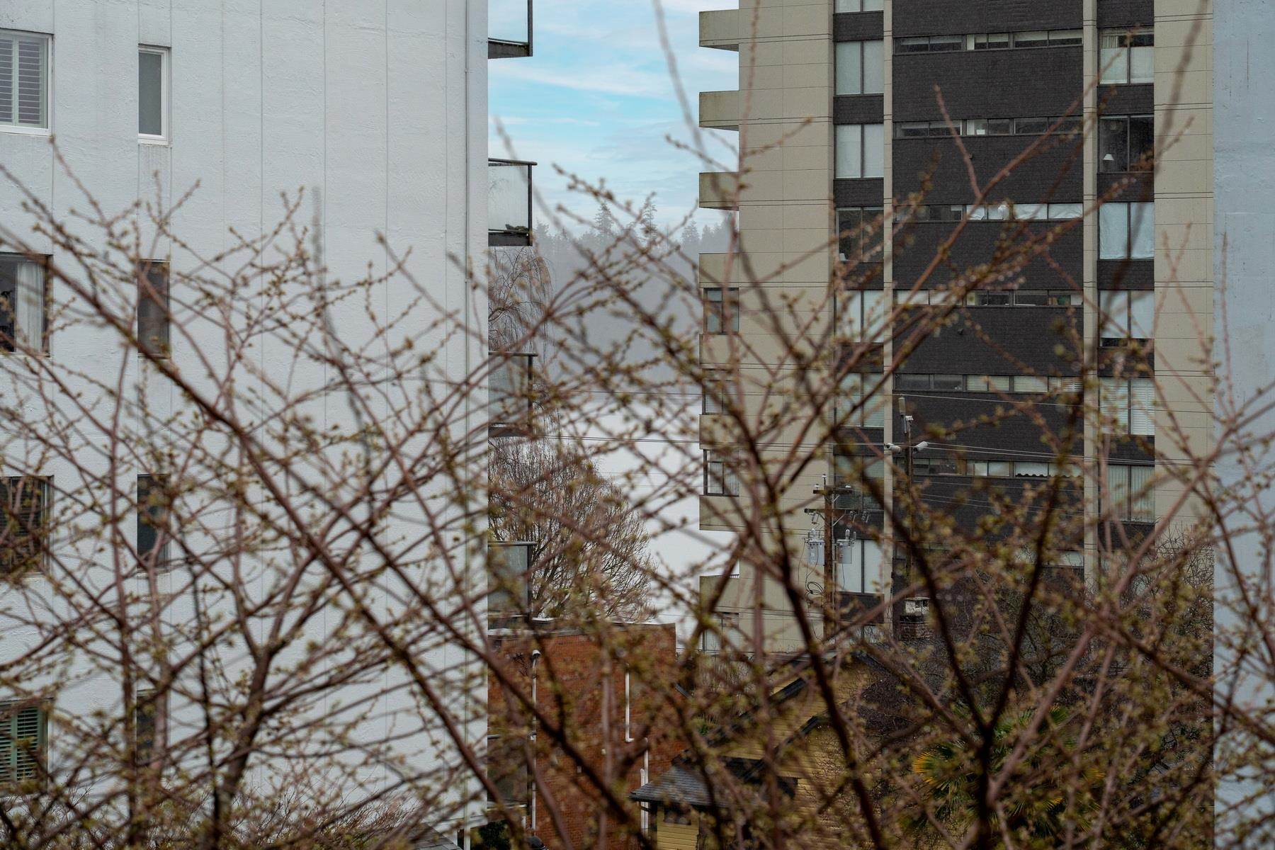 Listing image of 205 1896 MARINE DRIVE
